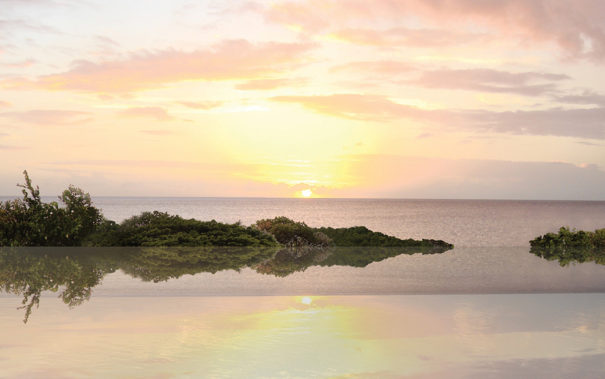 Tree Top Villa infinity pool: Serene infinity pool reflecting a vibrant sunset over the ocean horizon, integrating with the natural surroundings.