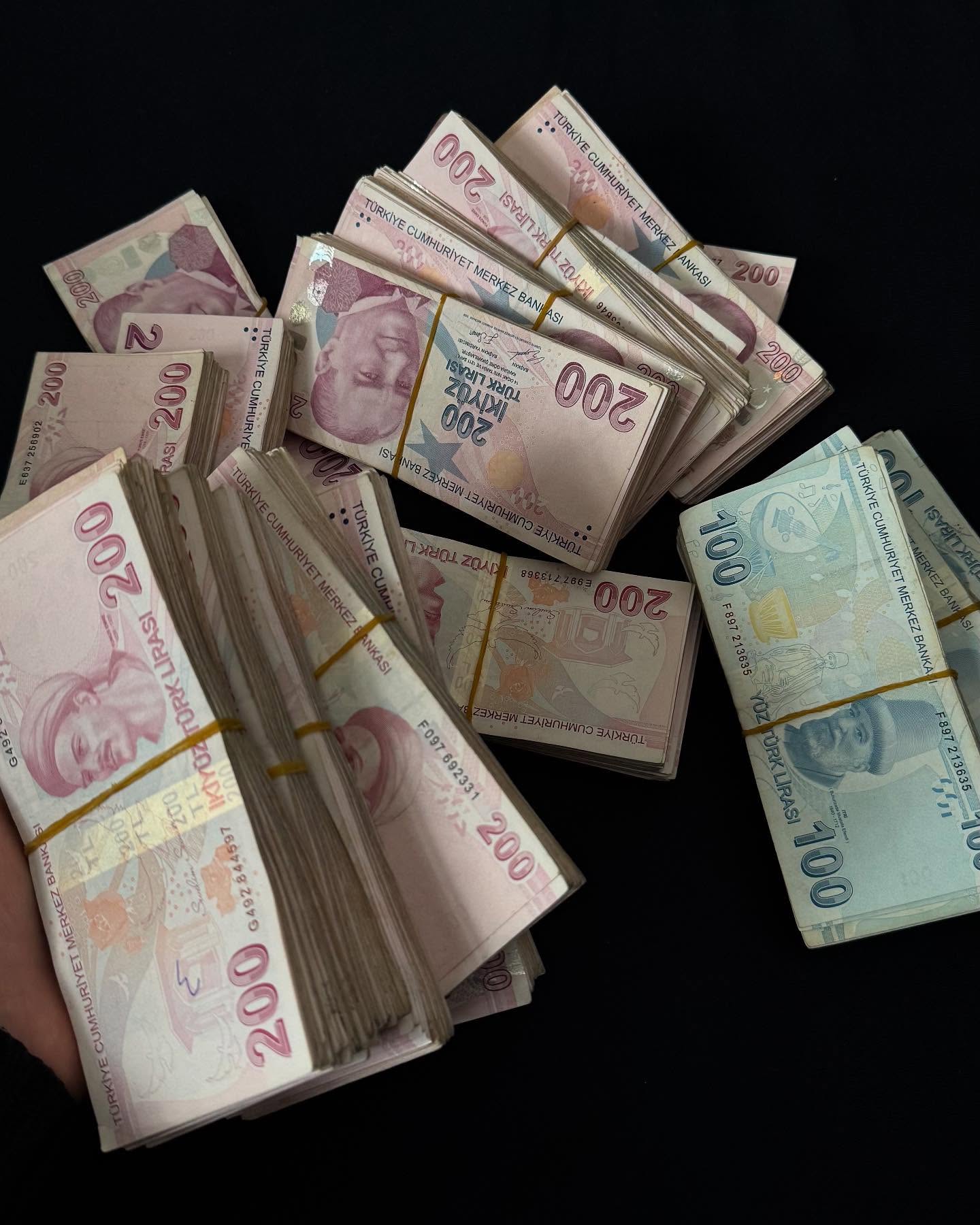 Close-up of a tree stump showing growth rings and a textured brown wood surface.