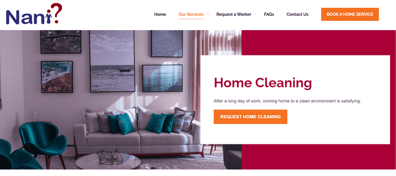 Nani home cleaning subscription