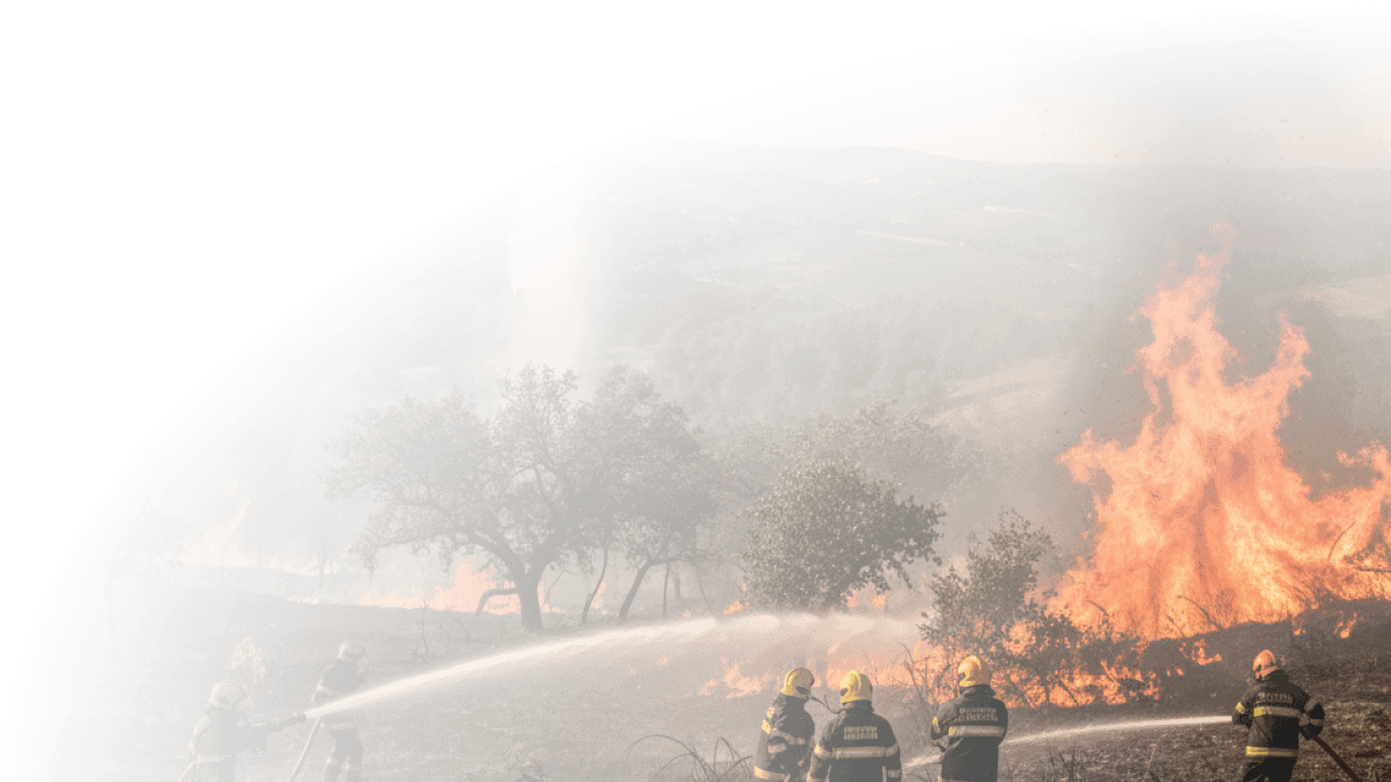 Wildfires in Portugal, with AirHub the Bombeiros (Portuguese firefighters) are able to have a better overview of the situation and take necessary action