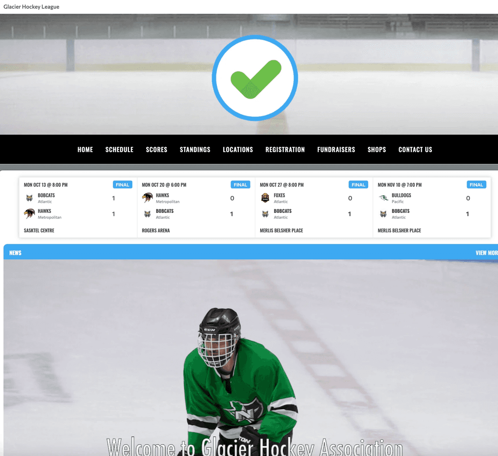 TeamLinkt's Website Template Screenshot