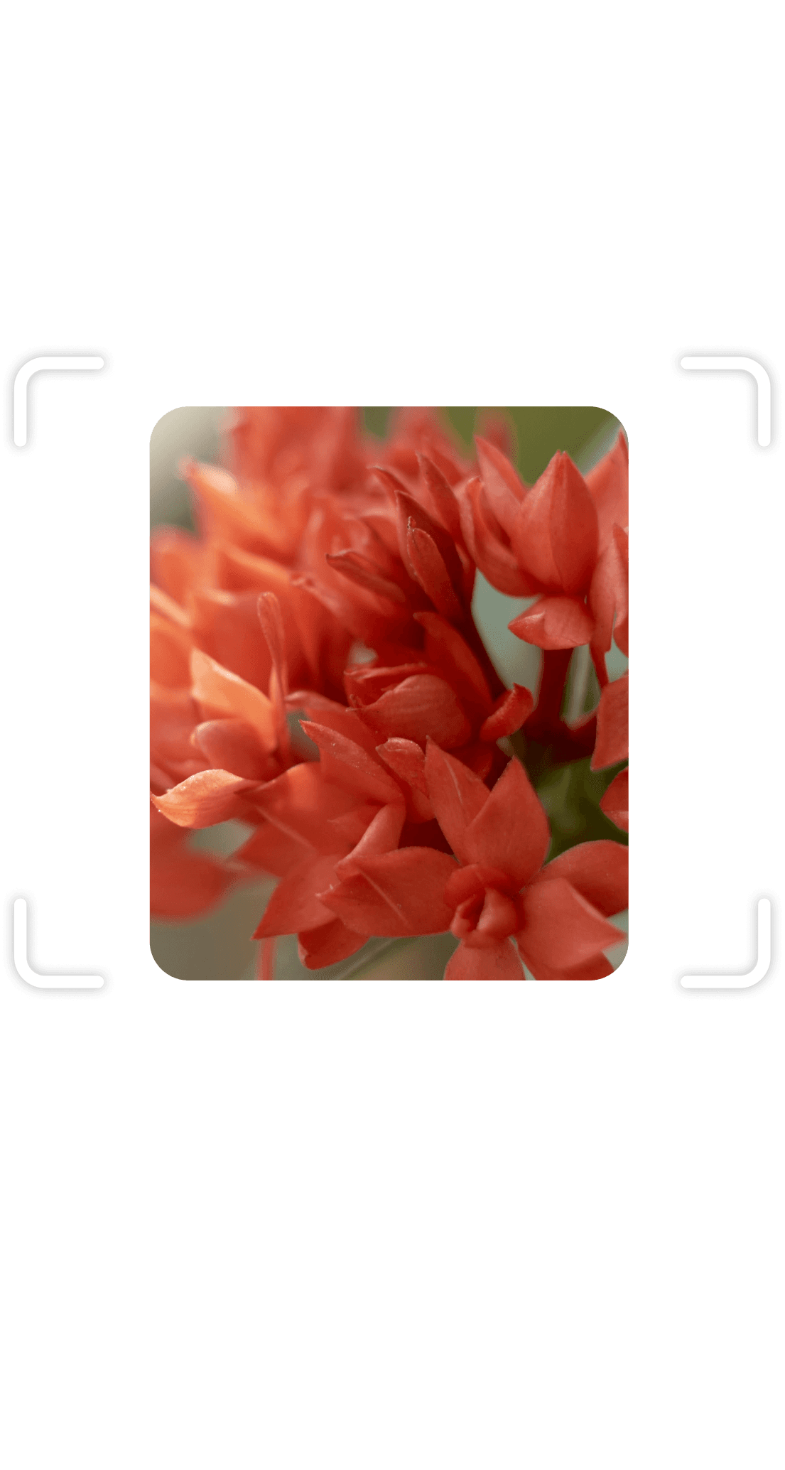 Identify bluetooth devices