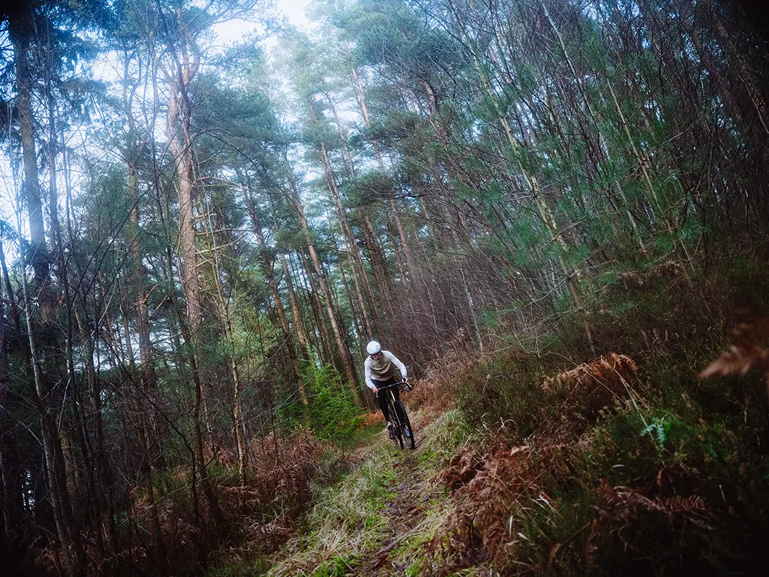 A cyclist riding a Quirk Cycles Kegety gravel bike dowm a grassy hill through woods with tall trees