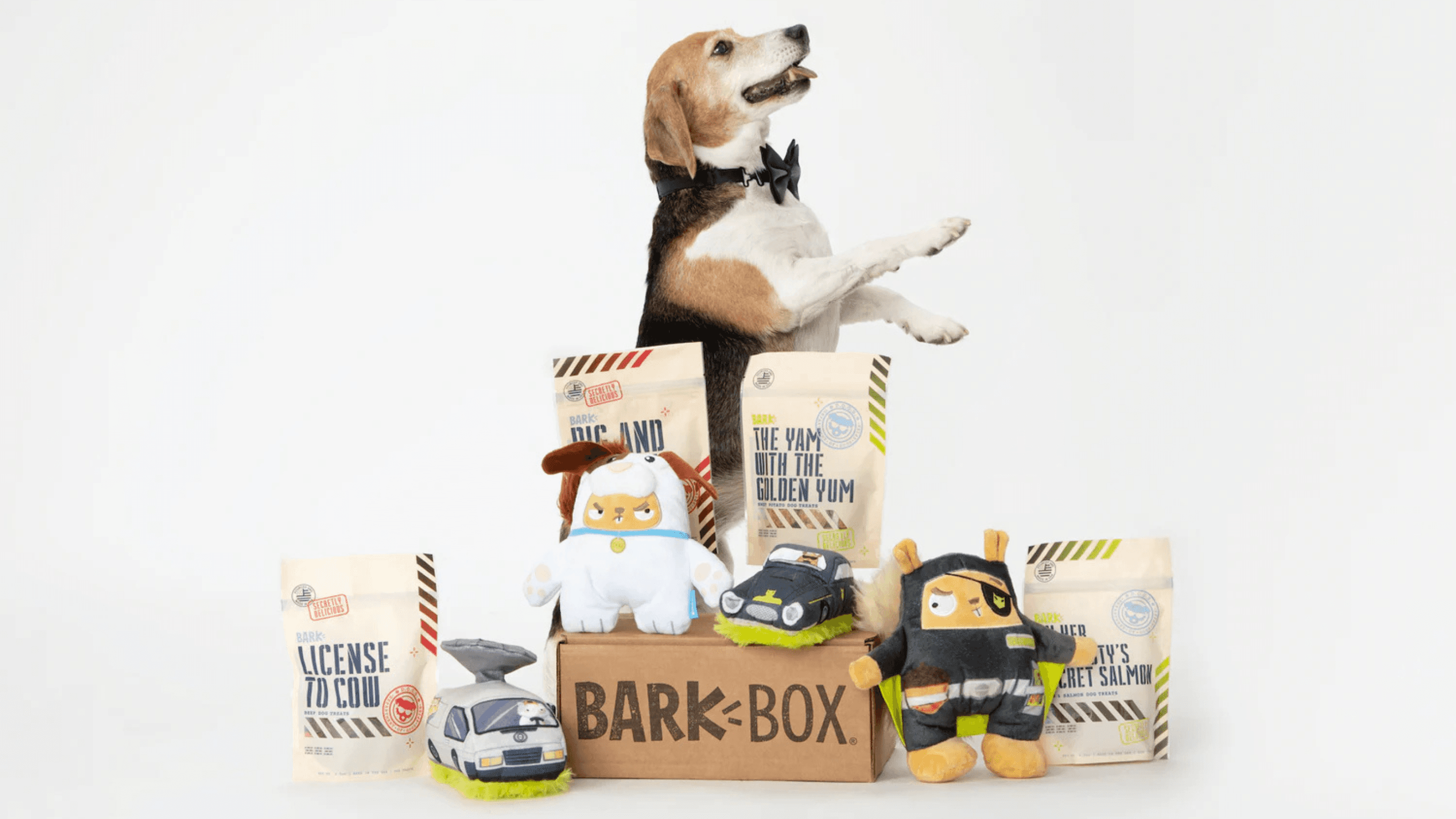 Bark box image