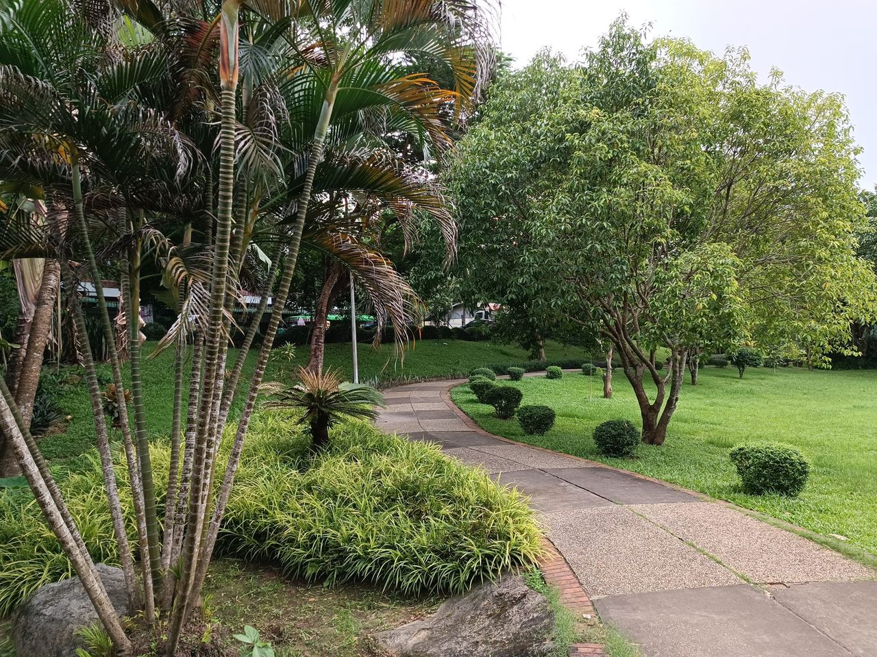 Theingottara Park Review