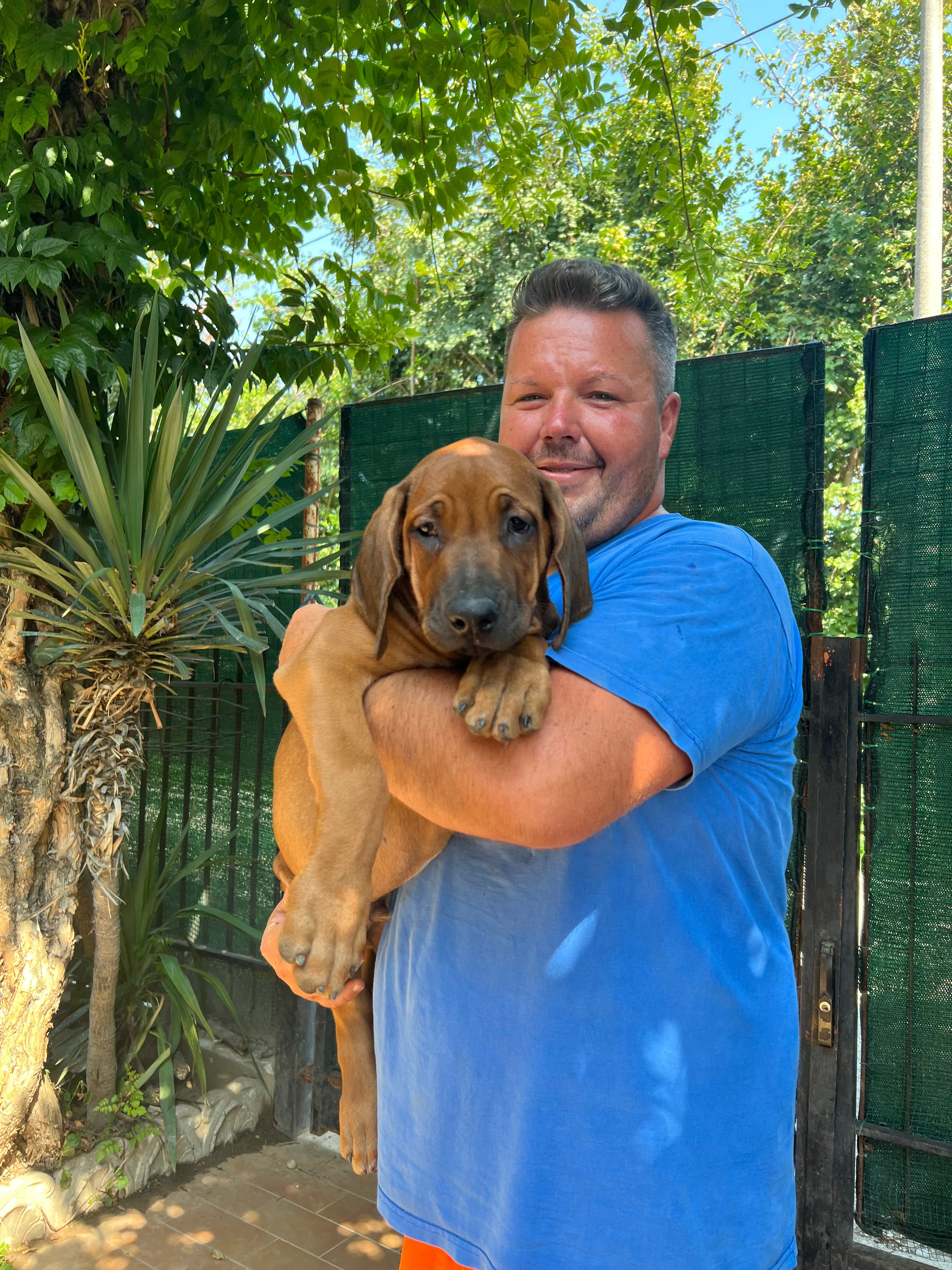 Nelson e Valentino