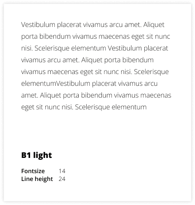 Styleguide Typografie H1