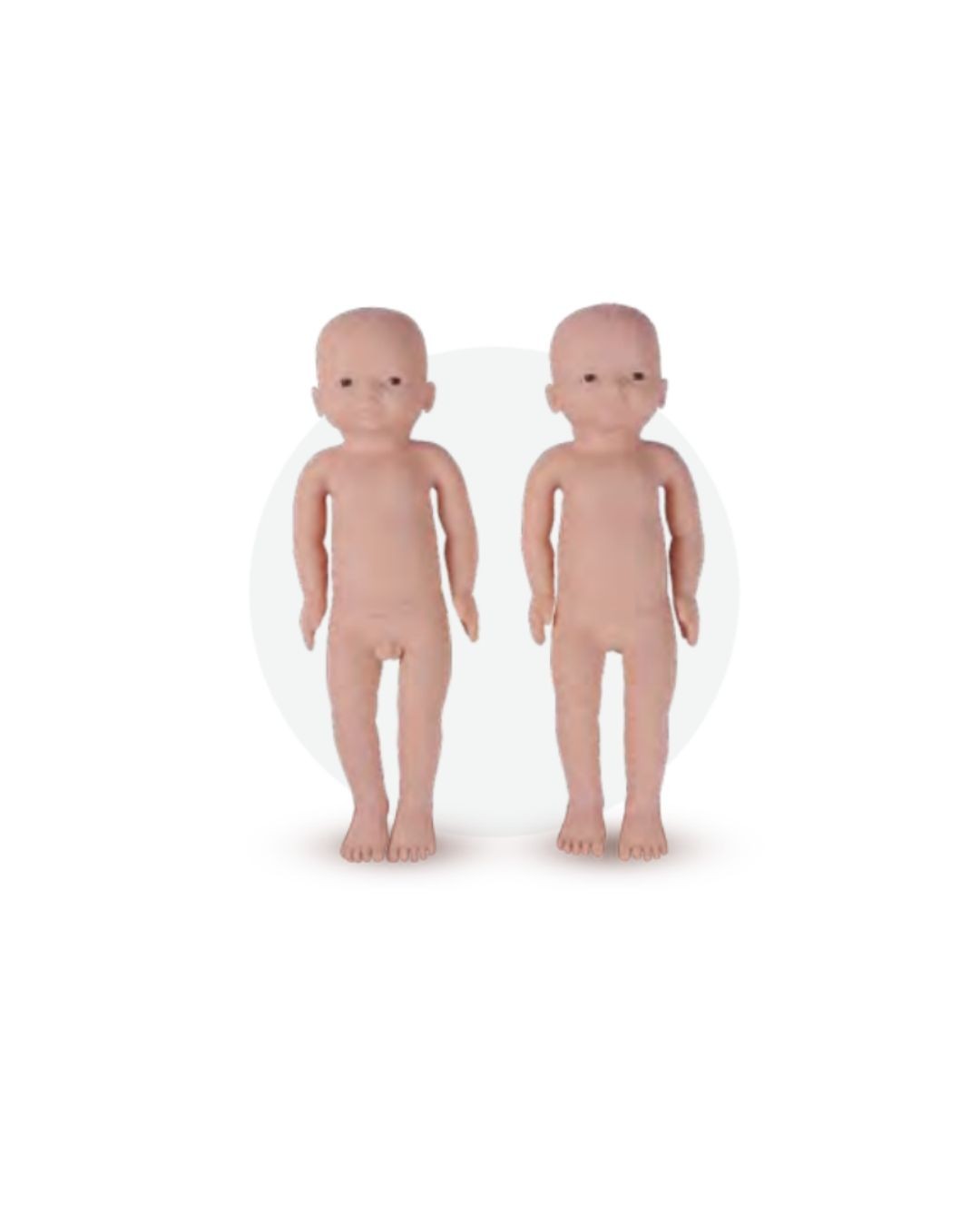 Newborn Physical Examination Model