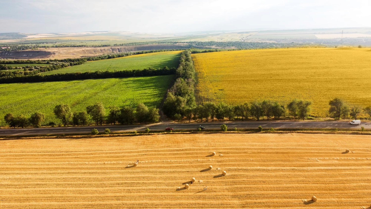 farmland