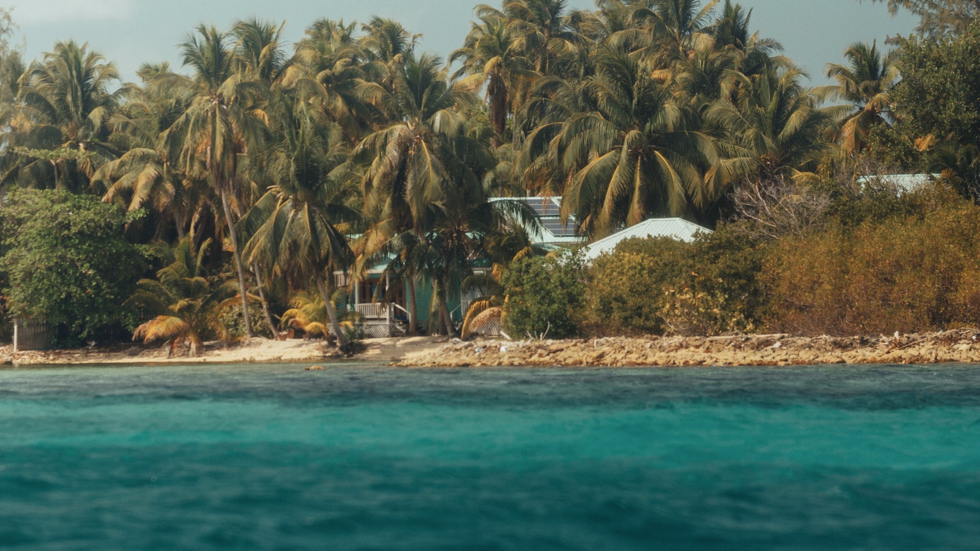 Tight crop of Tobacco Caye, Belize