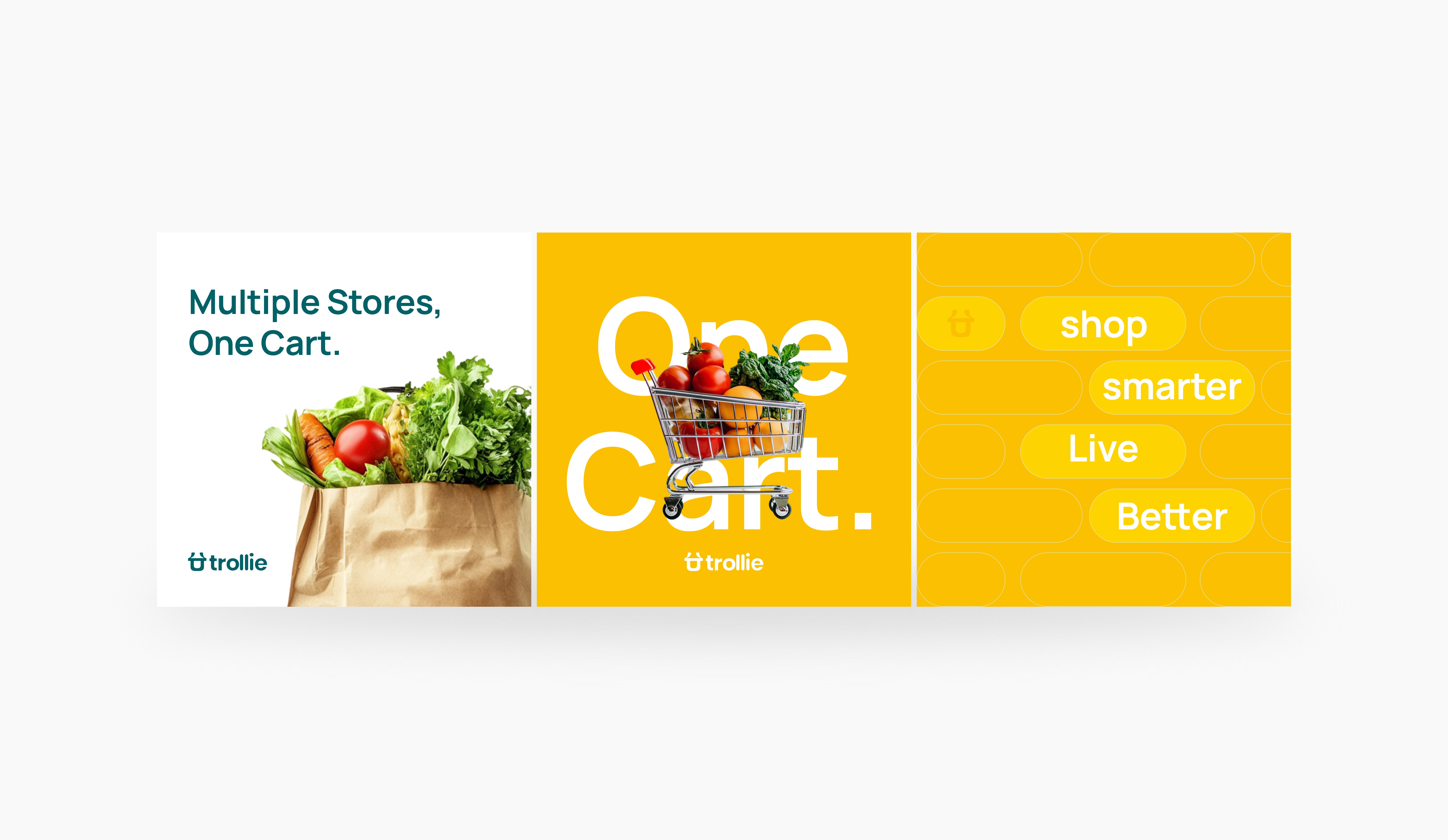 Potted plant in soft natural light