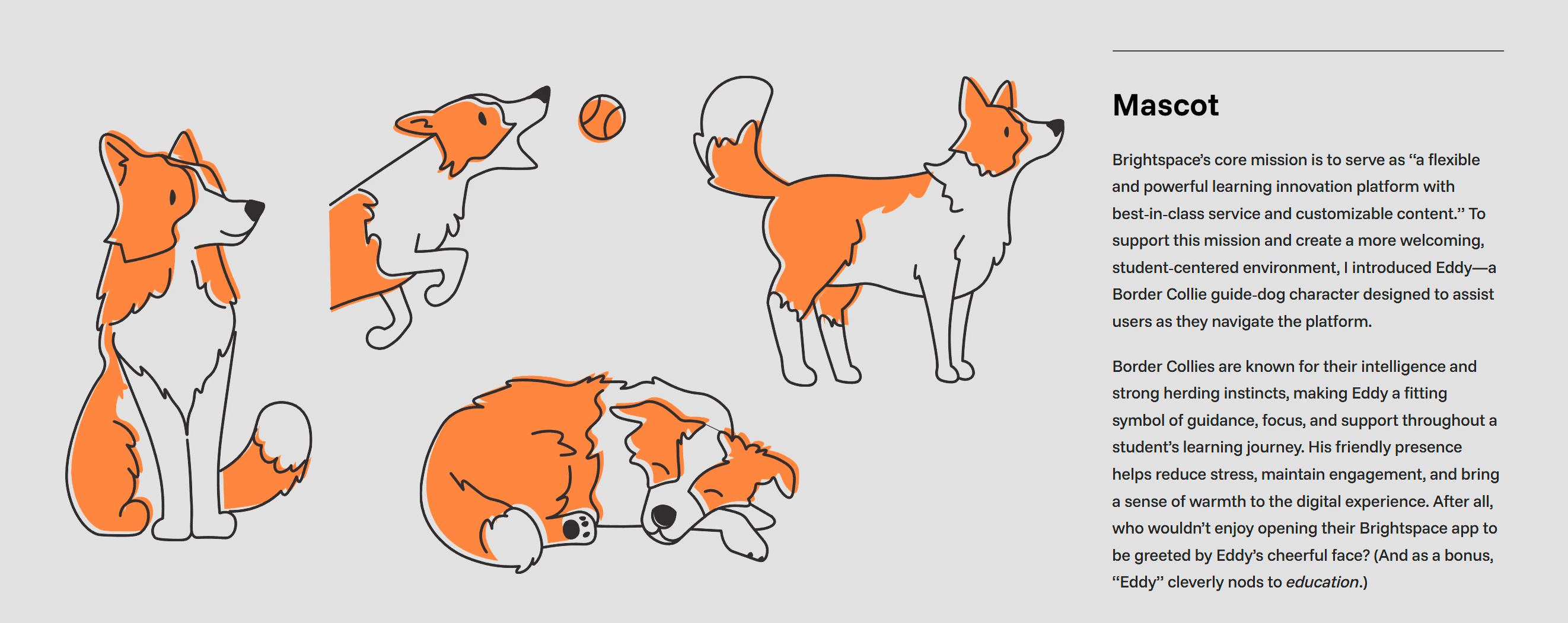 New designed mascott dog drawings and description