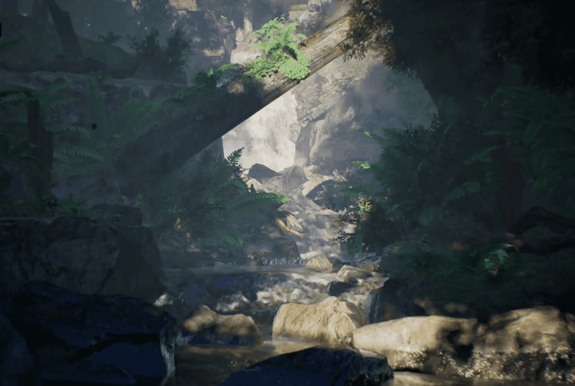 Execution Images
