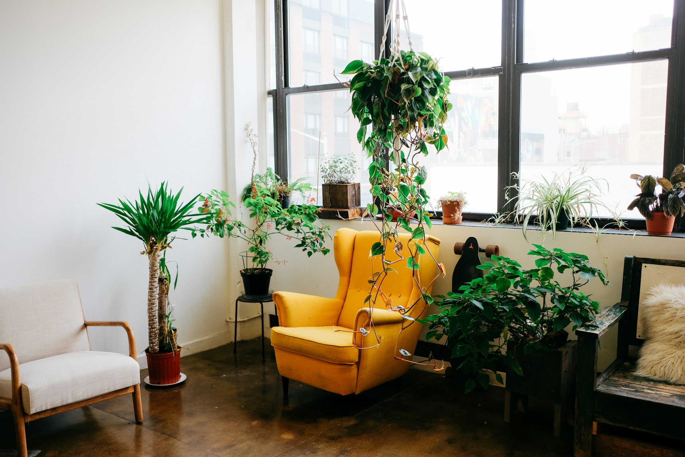 A bright, plant-filled studio with a yellow armchair