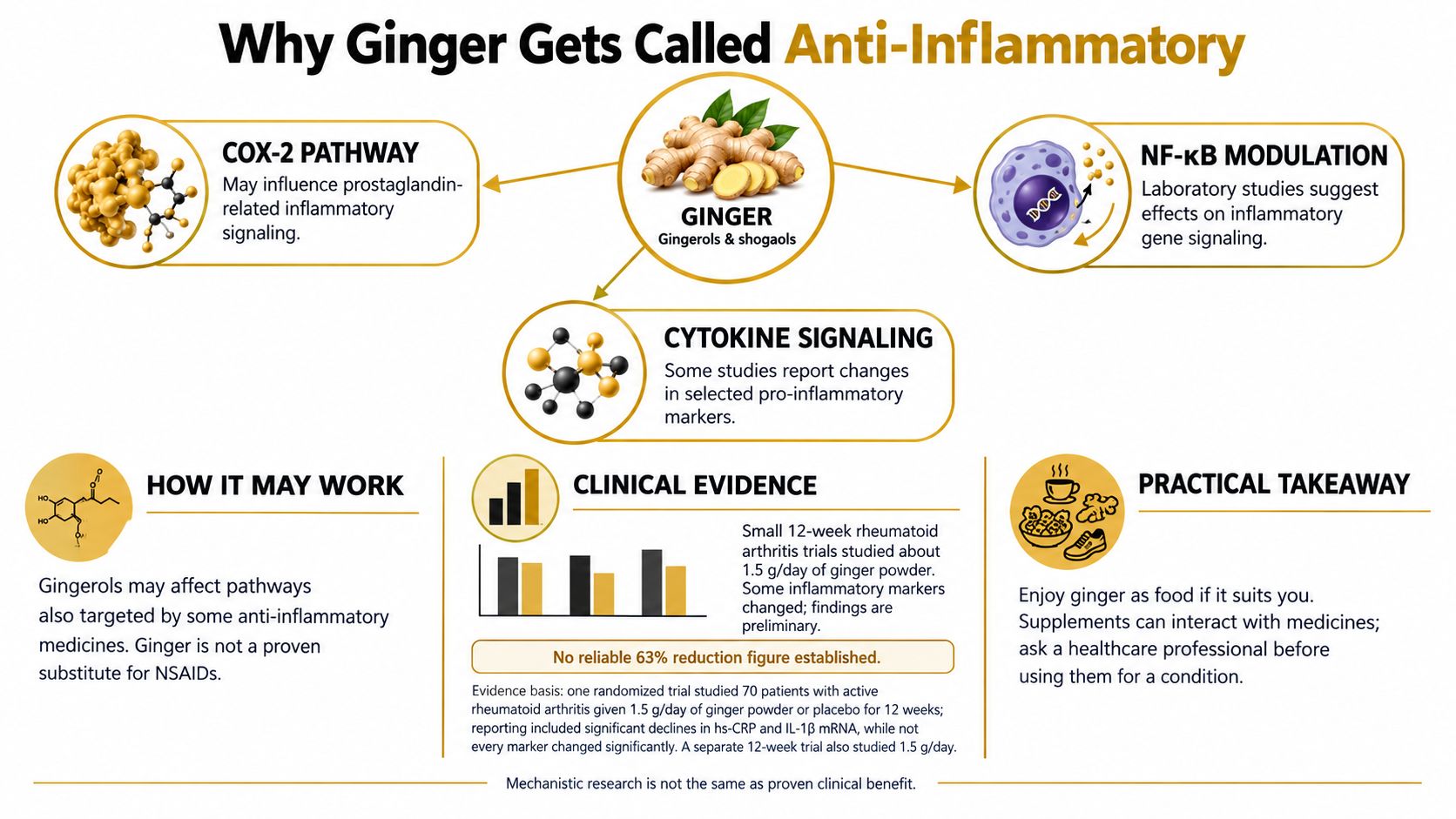 An infographic titled Why Ginger Gets Called Anti-Inflammatory, detailing its biological mechanisms, clinical evidence, and practical takeaways.