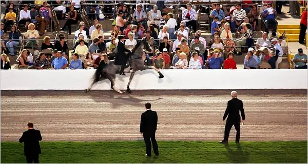 Discovery Place Science — Charlotte, North Carolina