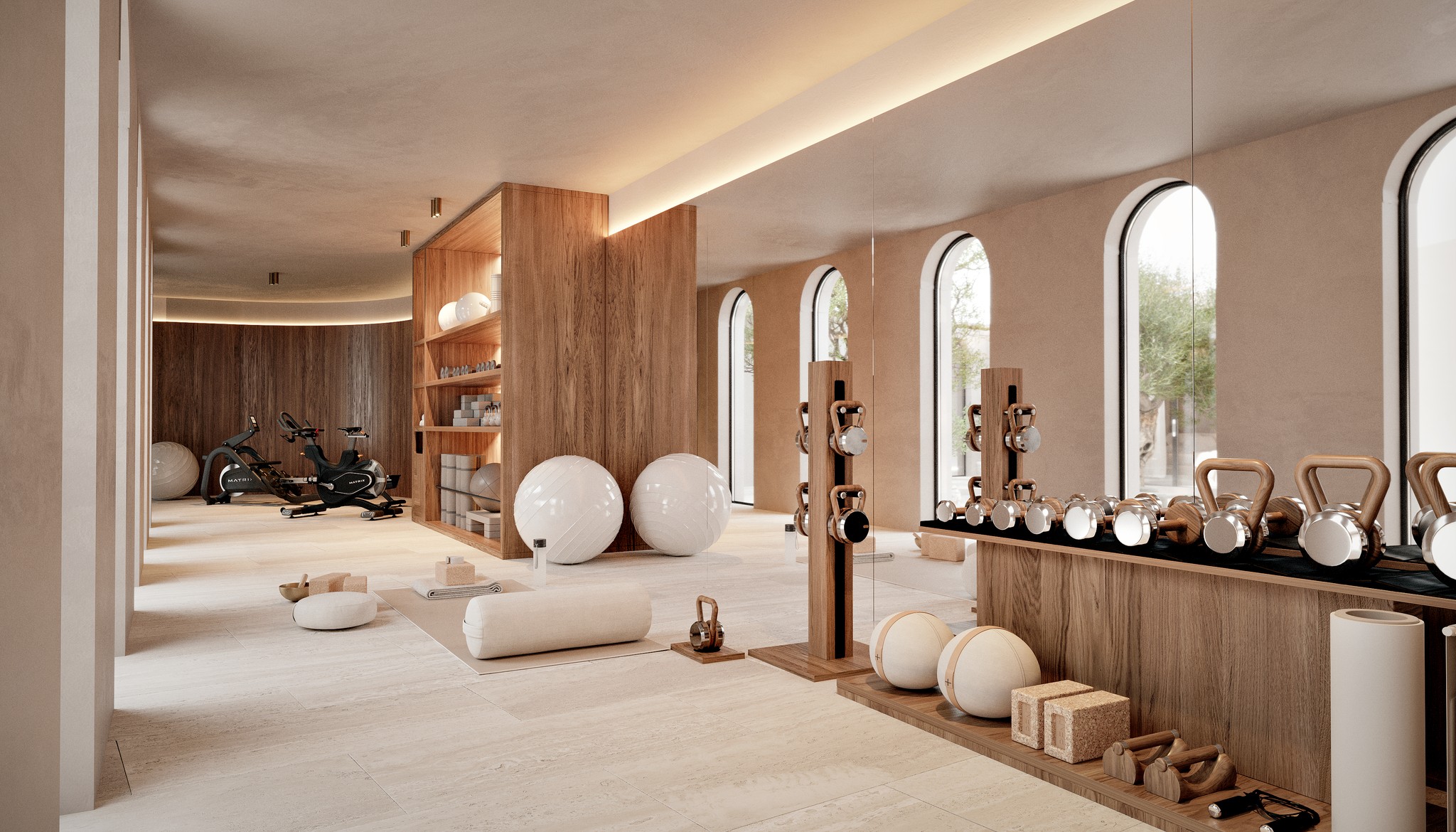 imagen-de-gym