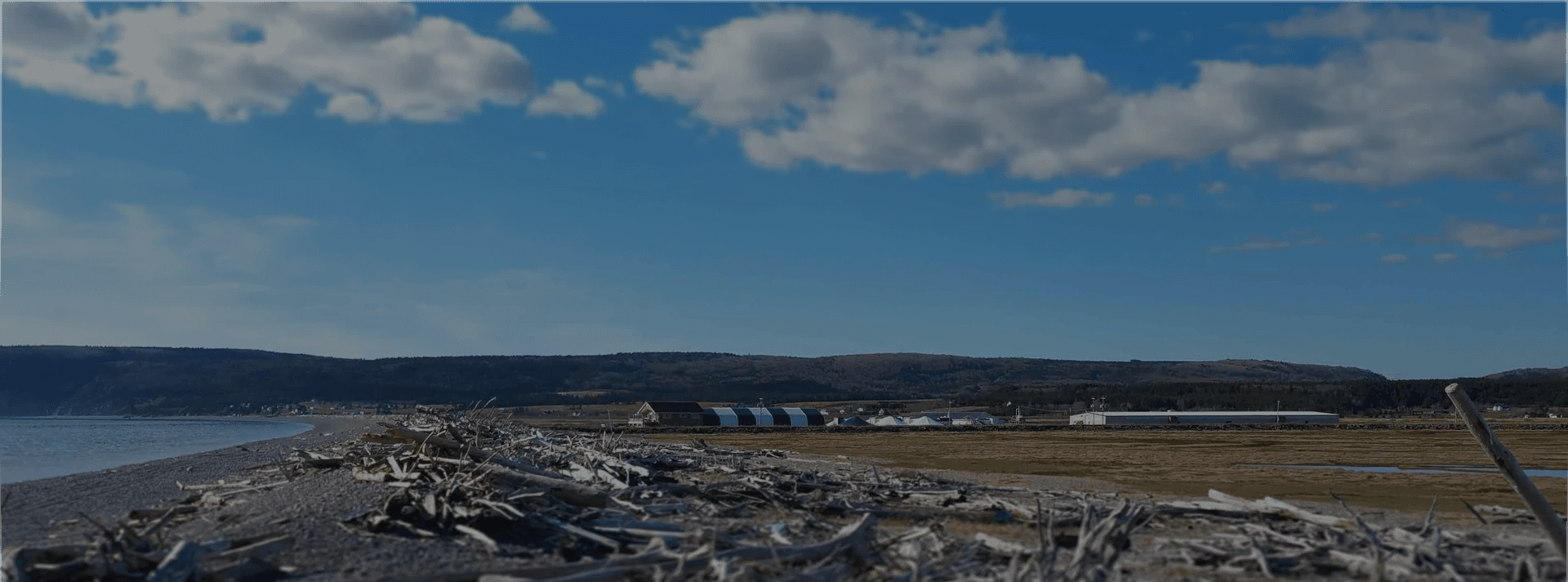 grilled fish, cooked vegetables, and fork on plate