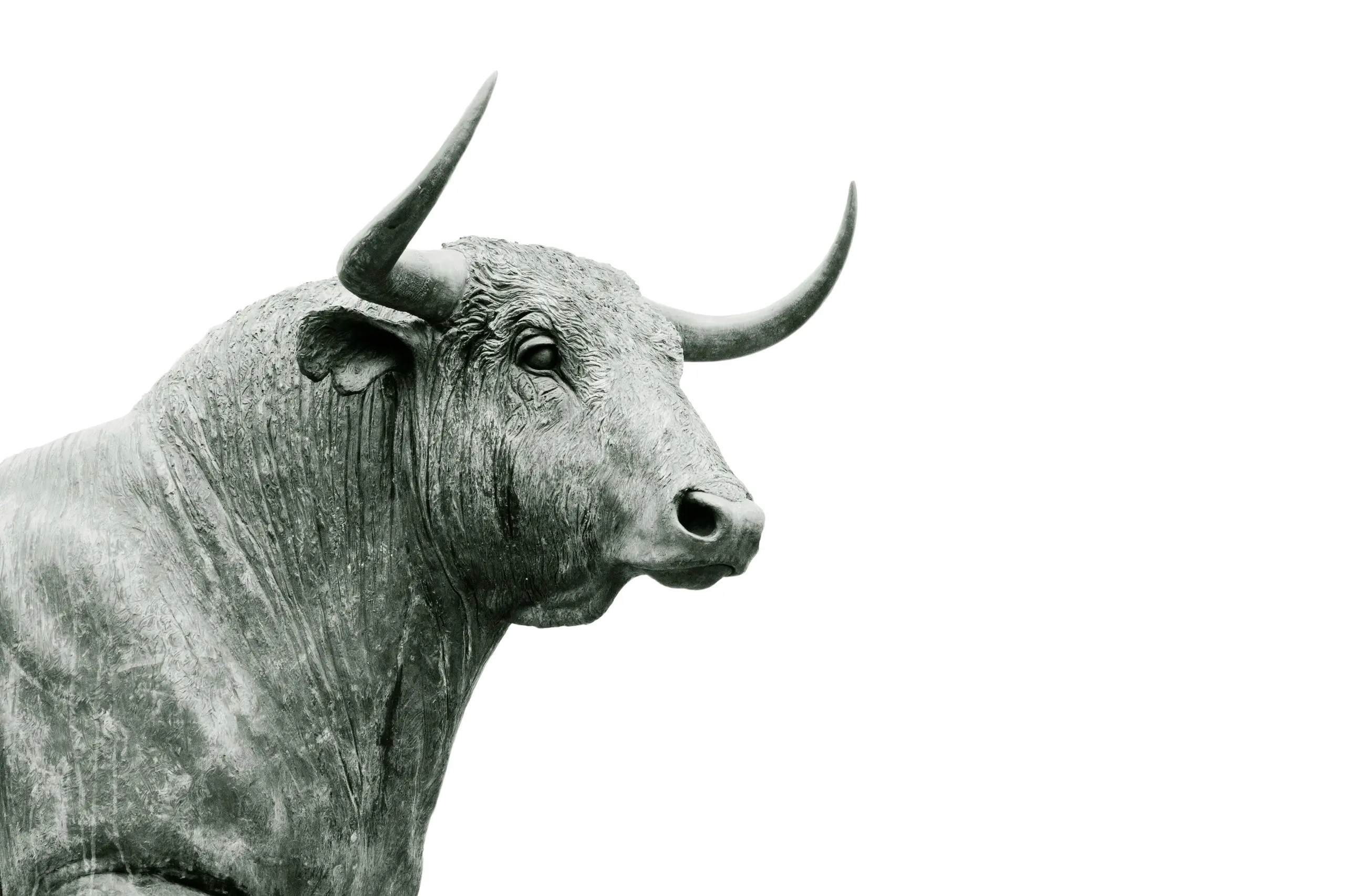 A bronze bull statue with sweeping horns against a bright white background, conveying corporate branding confidence.