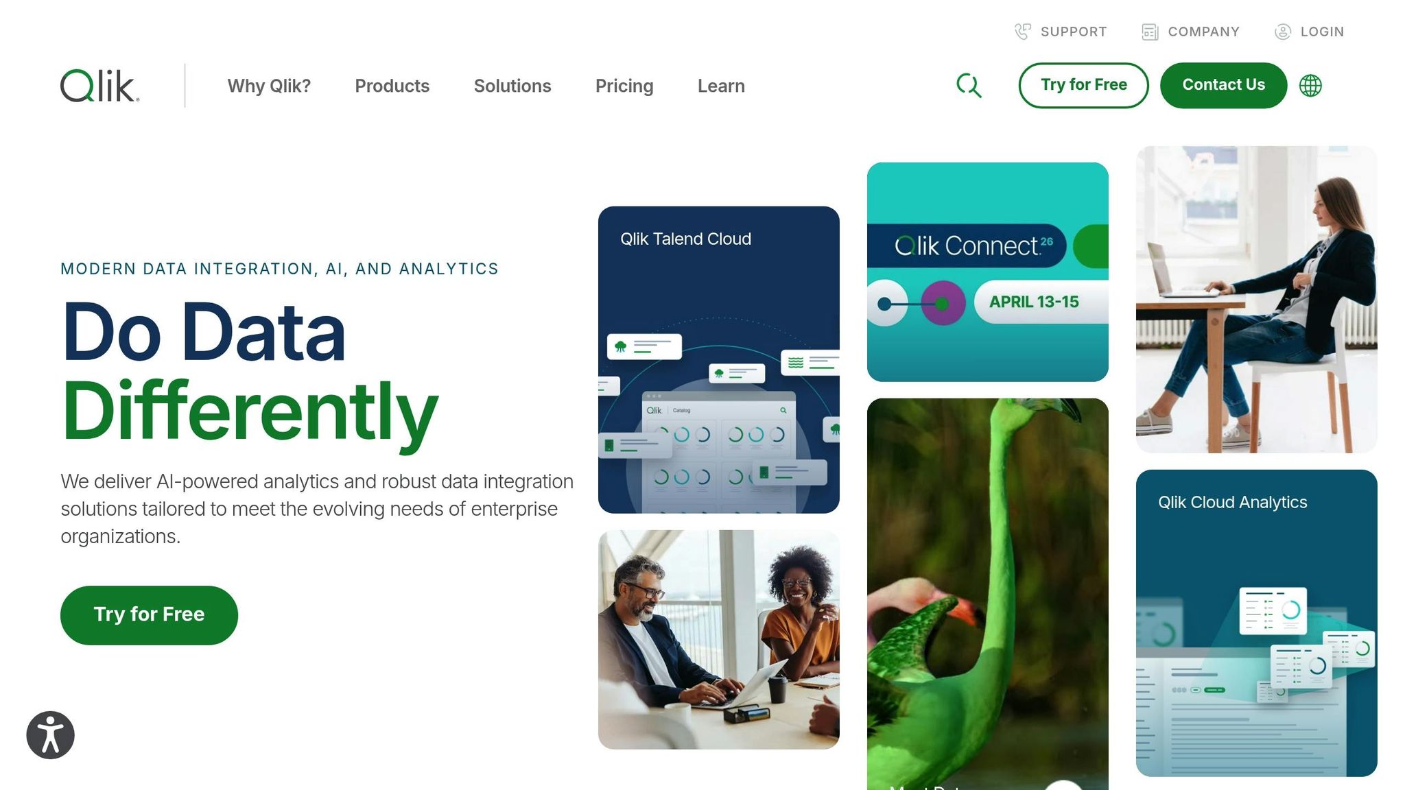 Qlik
