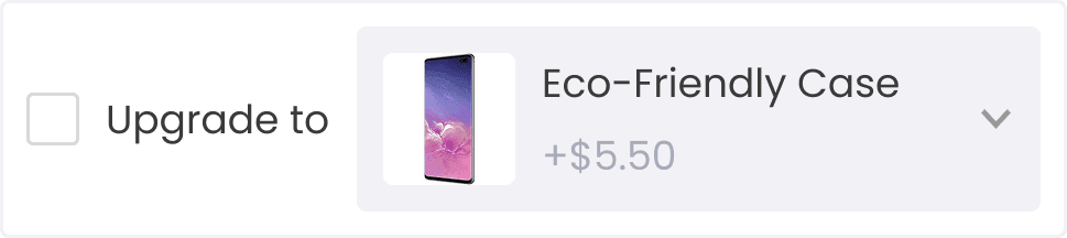 upgrade option at checkout