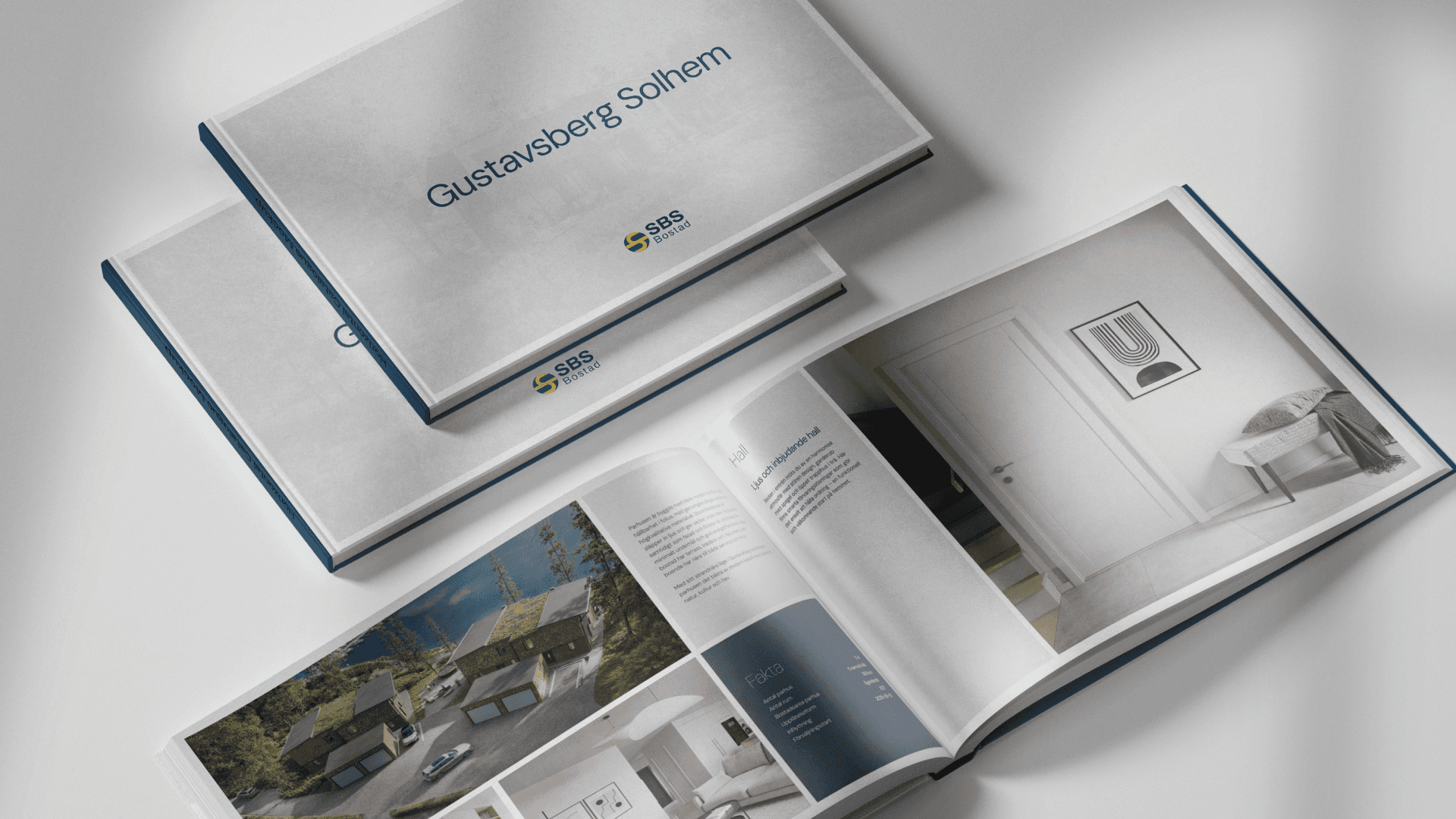 Large Project Gallery Image #2