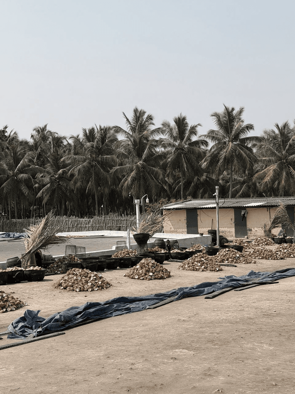 photo of the coconut shells in the factory