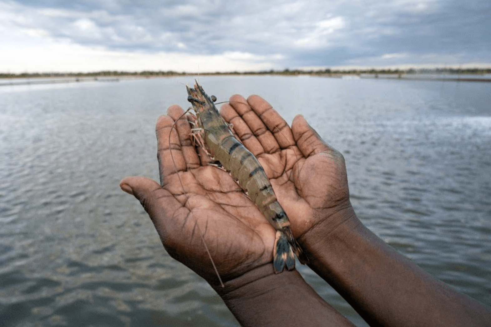 A smiling person with curly hair sits at a desk, looking at a laptop against a dark background.