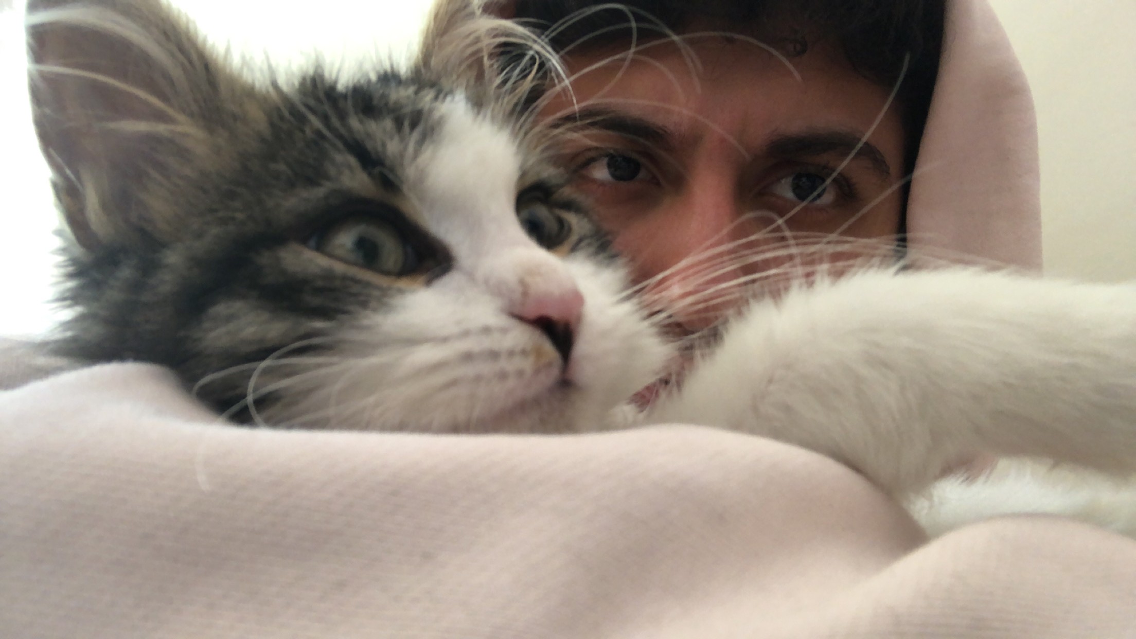 Example work of branding design