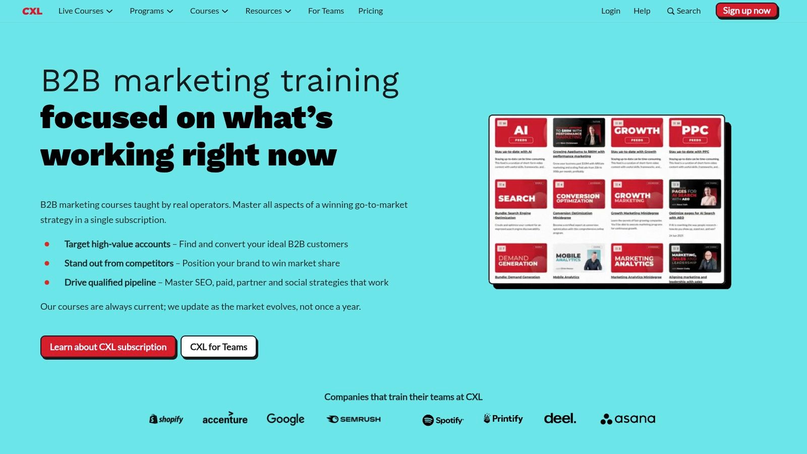 CXL (formerly ConversionXL)