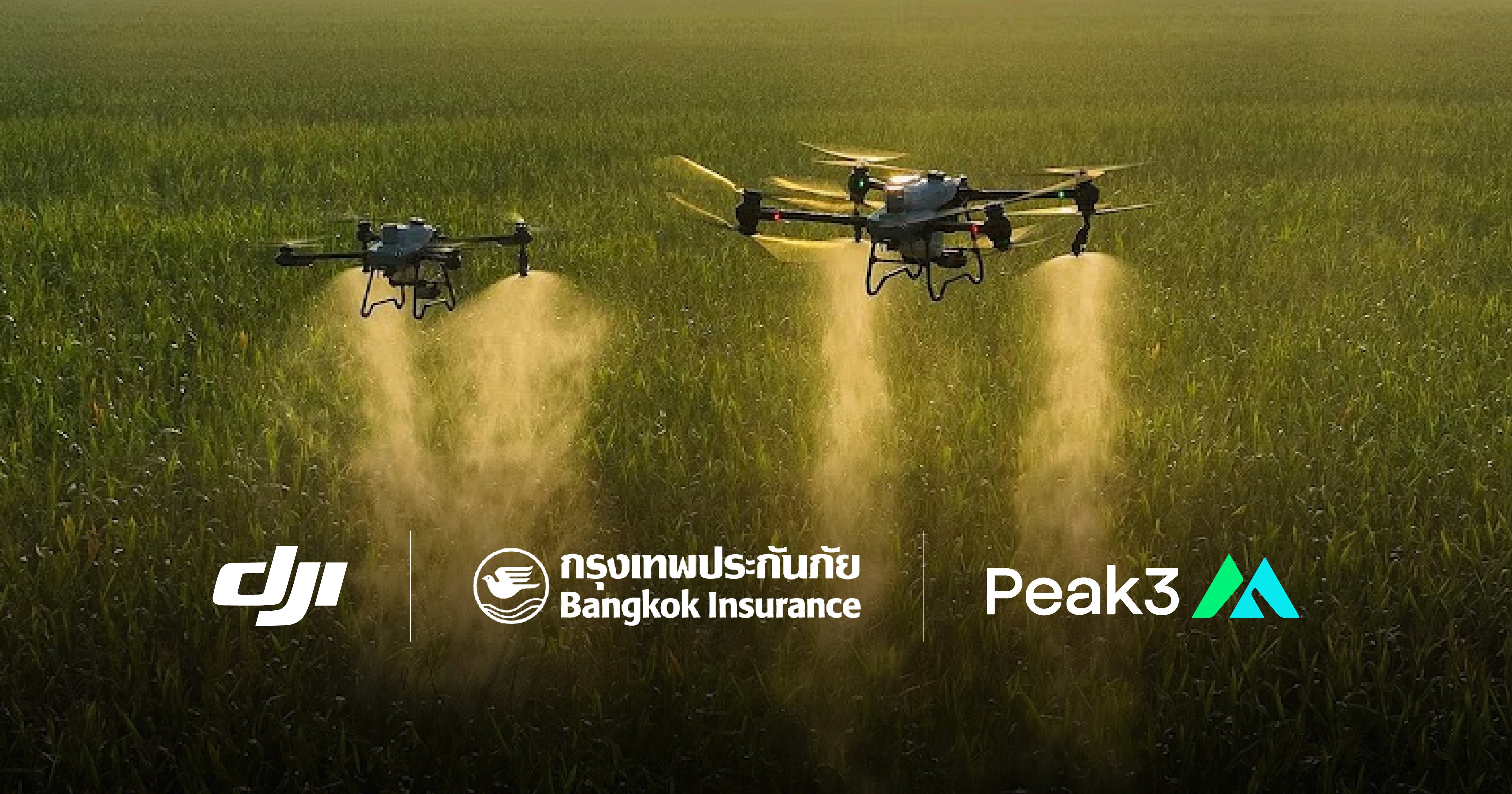 Peak3 and DJI launch innovative insurance for agriculture drones to boost smart agriculture