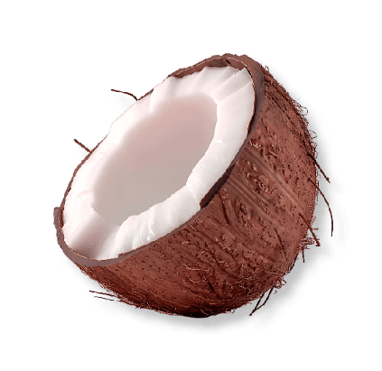 มะพร้าวอ่อนอบแห้ง Aromatic Young Coconut Dried Fruits