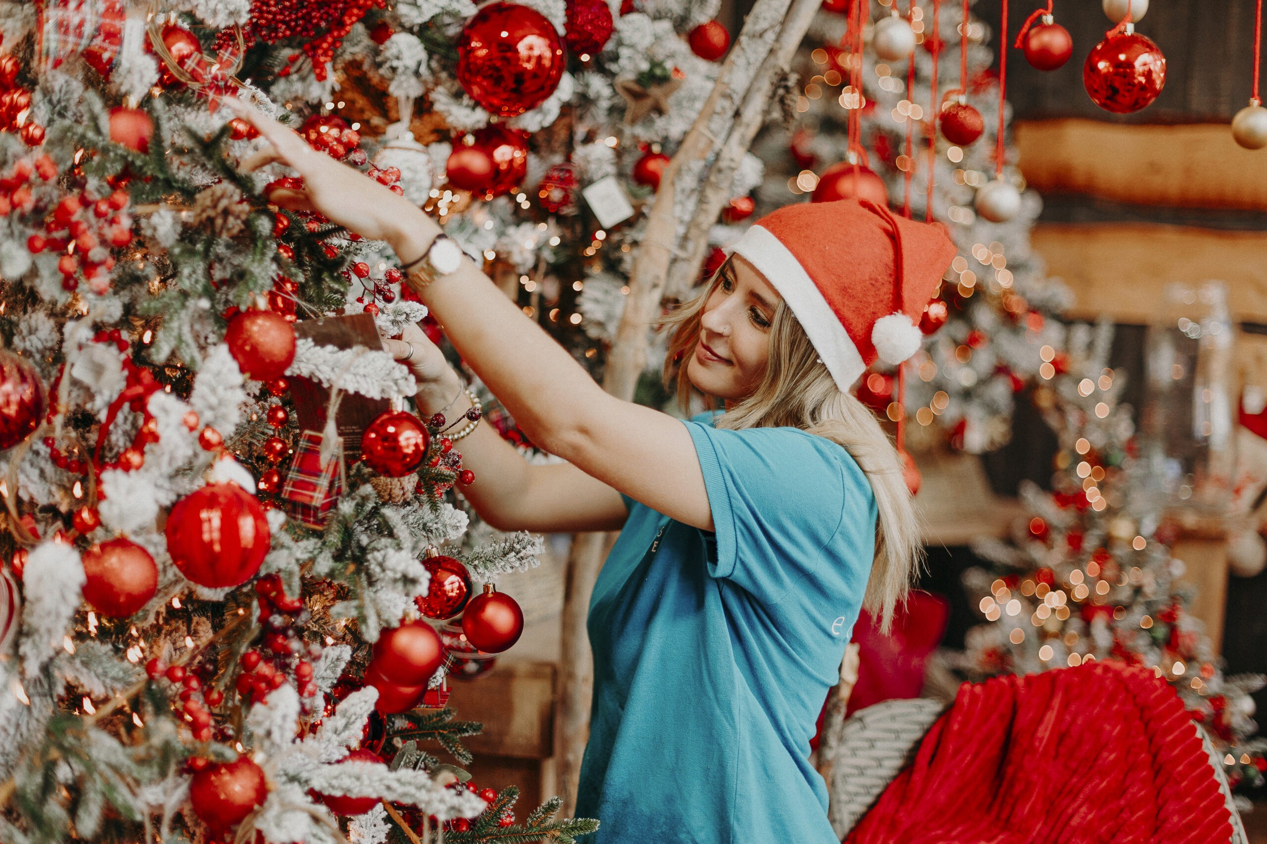 Traditional Christmas decorations in red and green