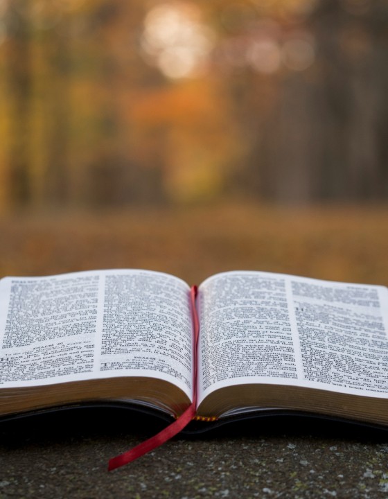 the gospel for seekers