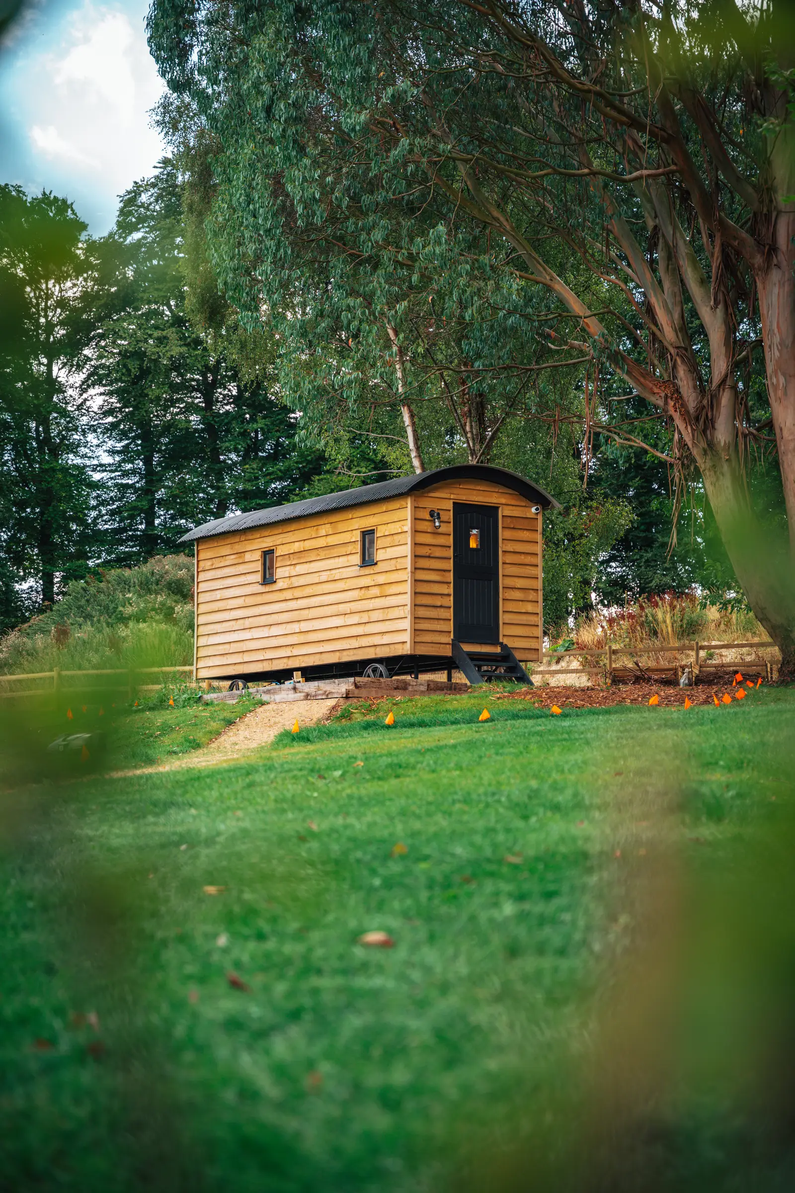 Funky Huts