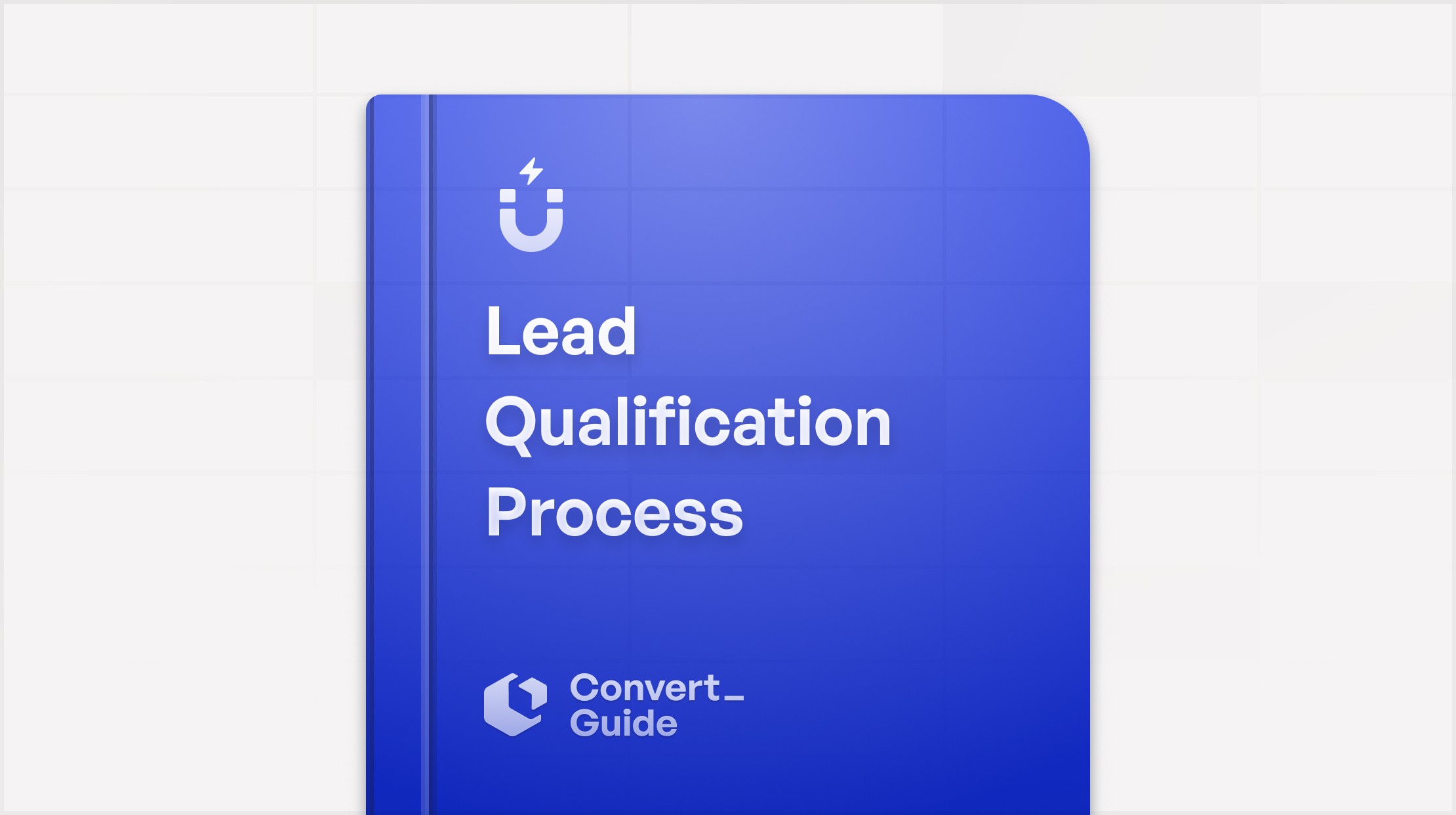 Lead Qualification Process