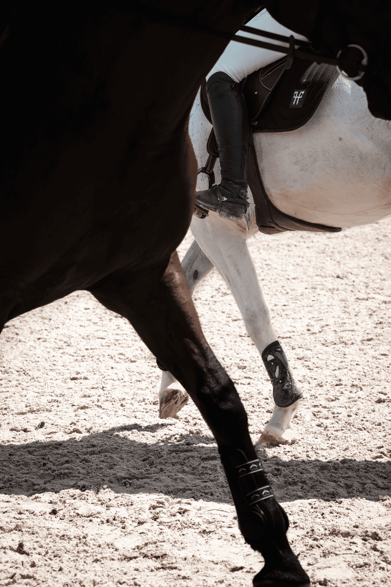 logo-cheval