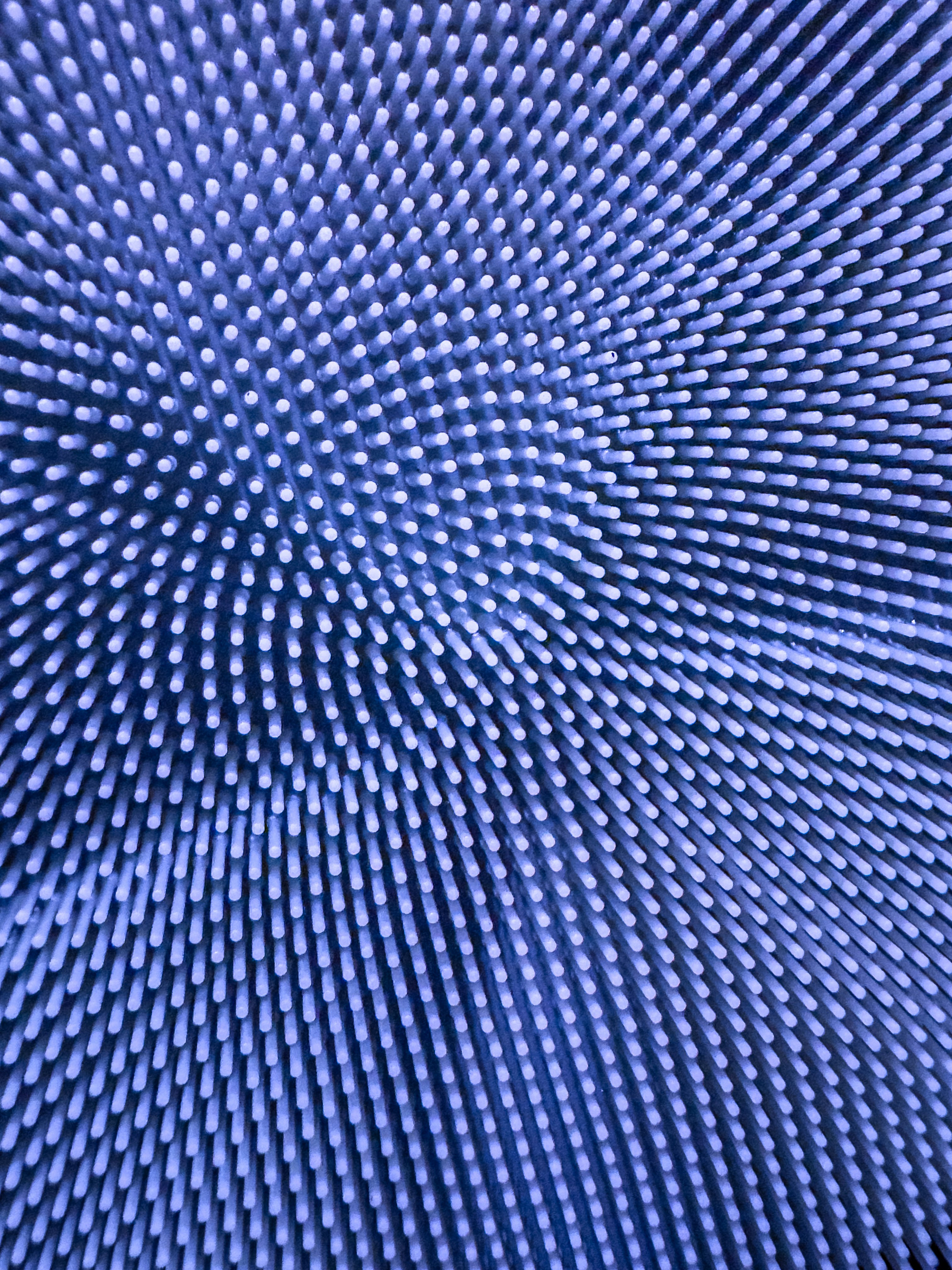 a group of objects on a surface