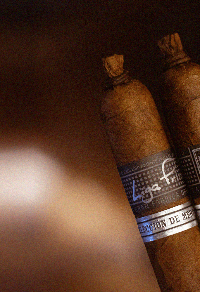 Dynamic picture of a cyclist riding downhill