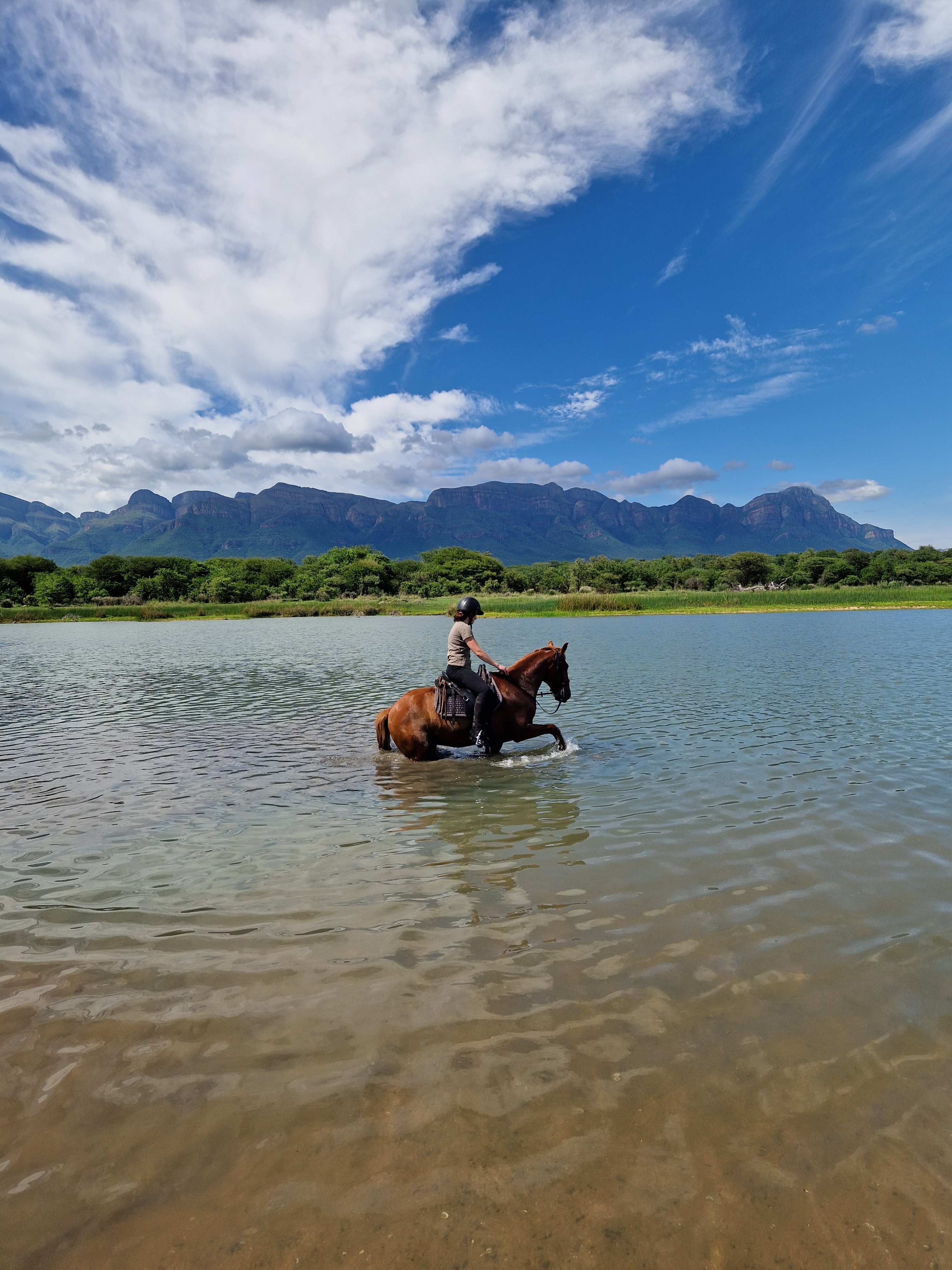 Kilimanjaro Elephant Ride, Arusha National Park, Tanzania – elefant i högt gräs tittar mot kameran, medan fem ryttare till häst på ridsafari i bakgrunden betraktar elefanten i ett grönt och frodigt landskap.