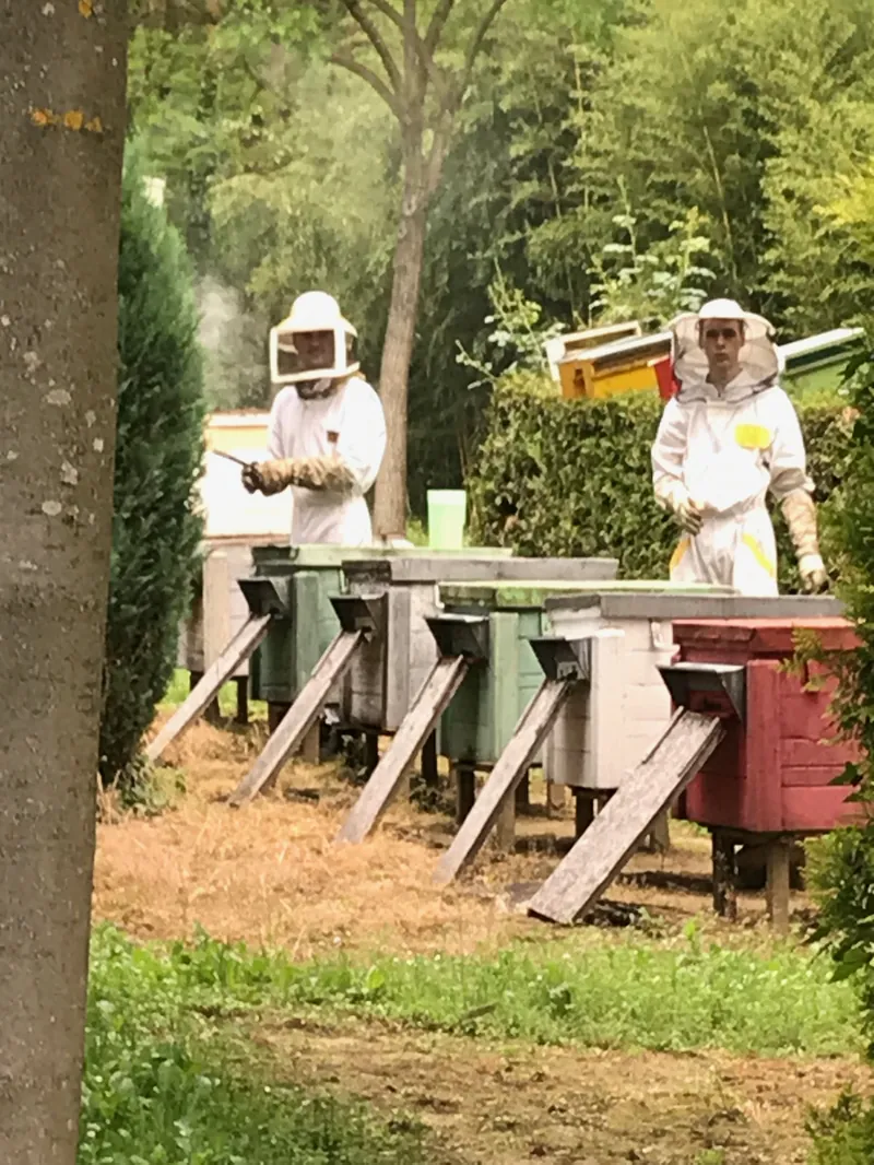 Generációkon átívelő méhészeti tradíció