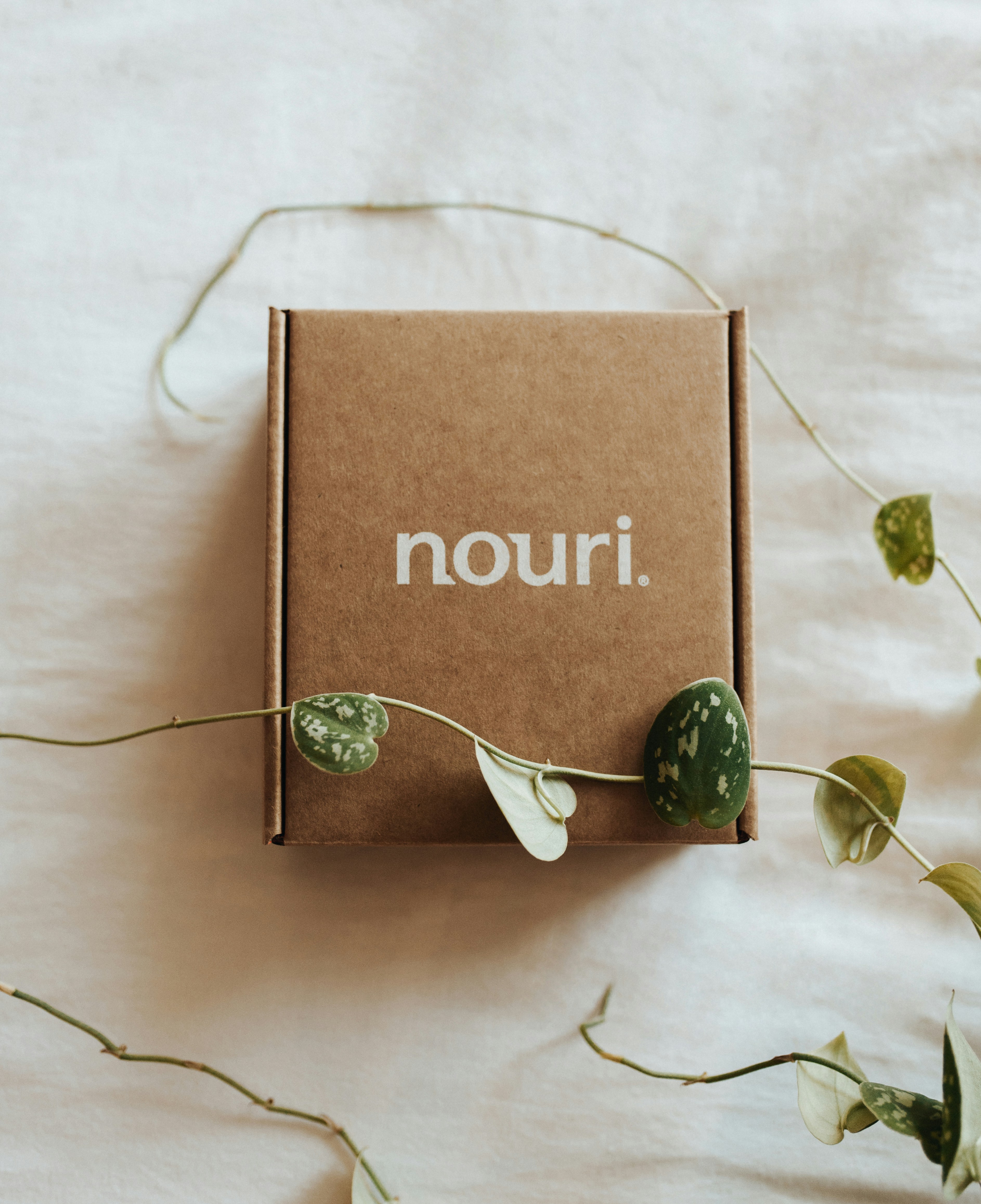 Nouri box