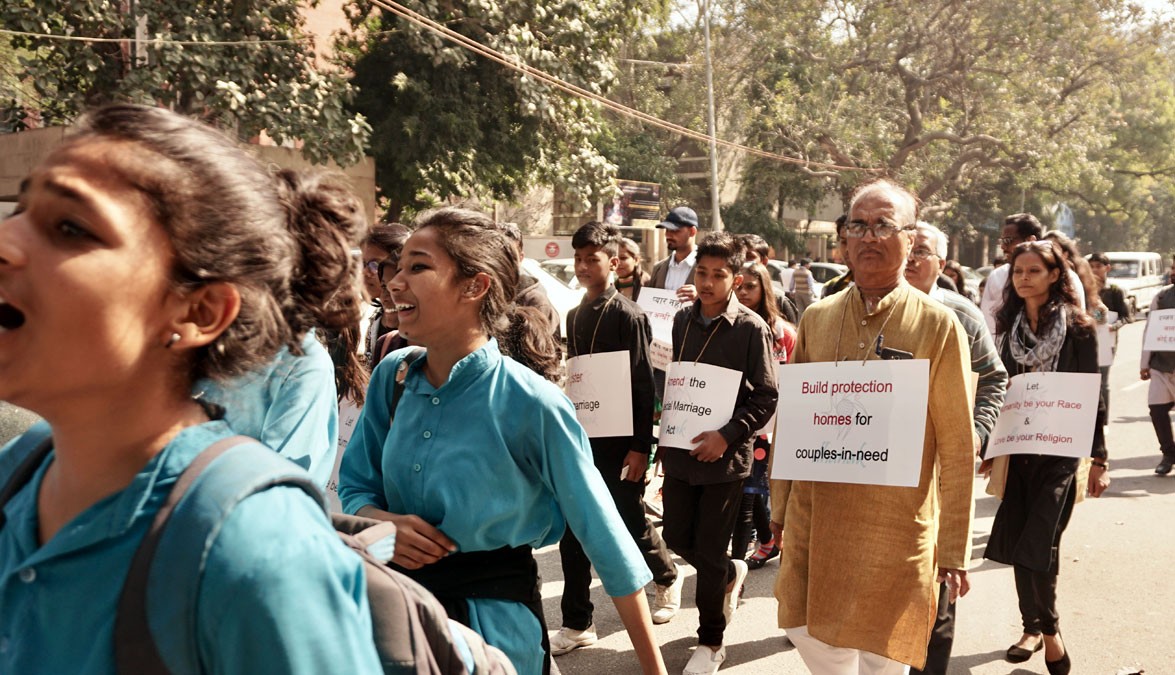 Close-up of a dark green leaf showing its textured surface and central vein against a muted background.