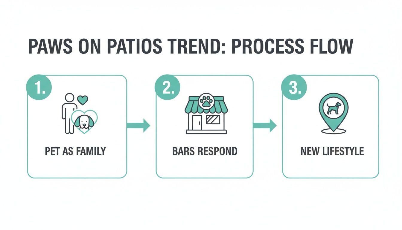 Process flow diagram illustrating the 'Paws on Patios' trend: pets as family, bars responding, and a new lifestyle.