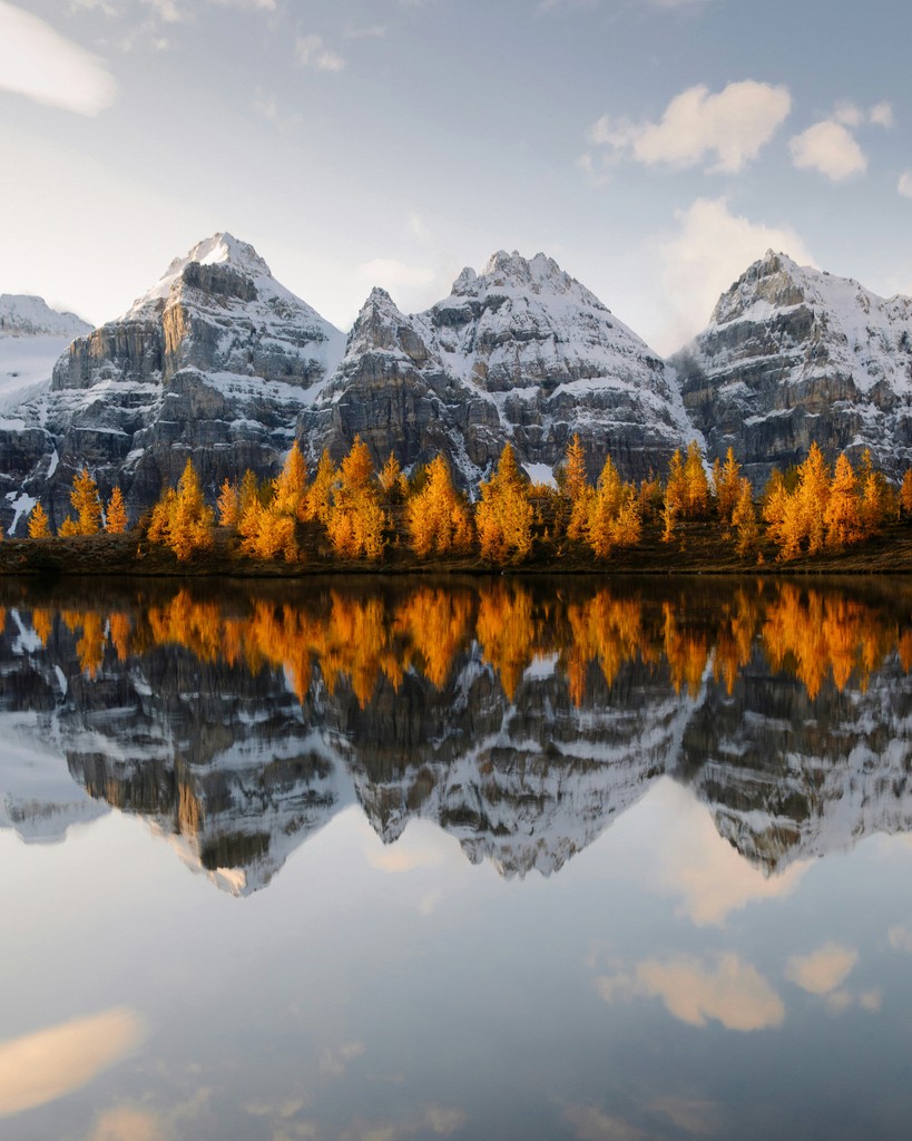 Orange trees and snowy mountains next to a still lake