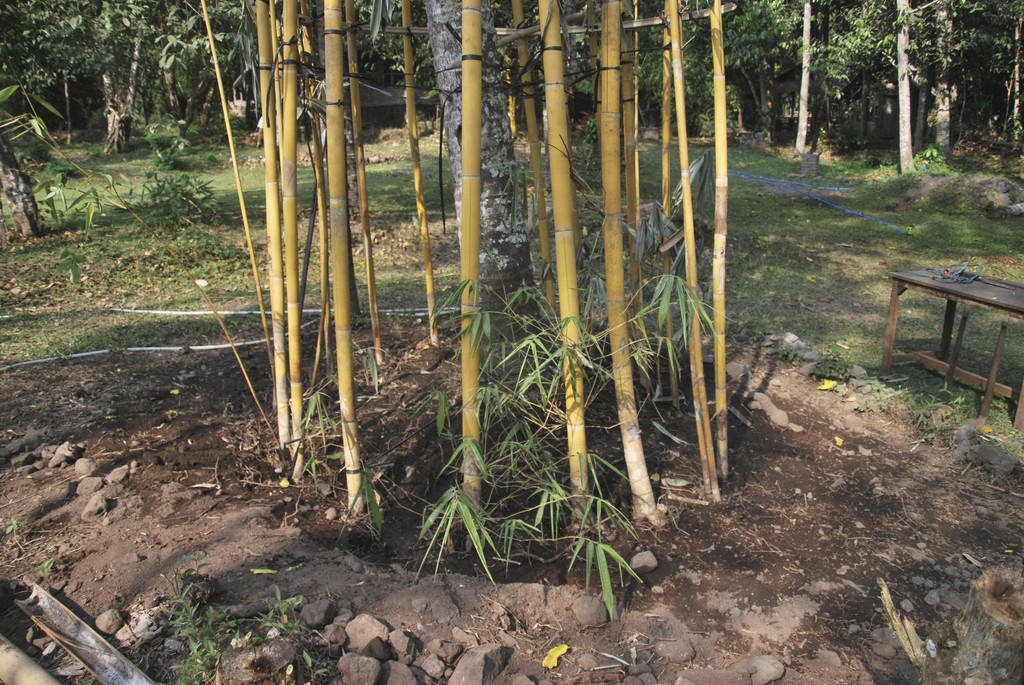 Sam Po (Drunken Tower / Mendem Kahanan) | Ruas Bambu Nusa