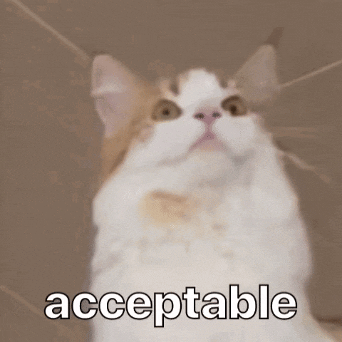 Diekatzlei Die Katzlei: Acceptable Cat Meme