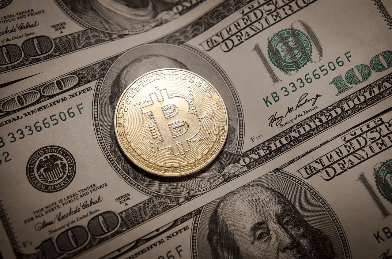 Coin on Money - What Is APY in Crypto