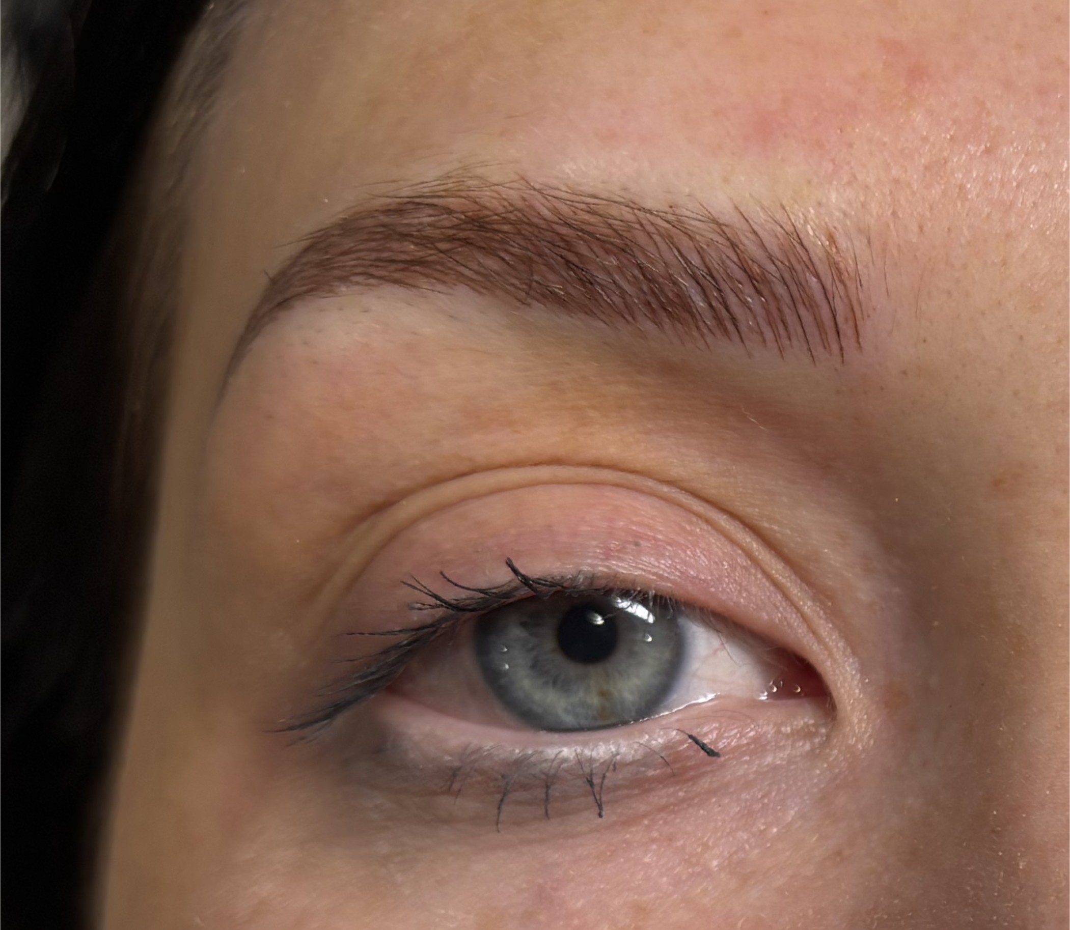 Close-up of a freshly microbladed eyebrow with natural hair-like strokes, enhancing shape and fullness.