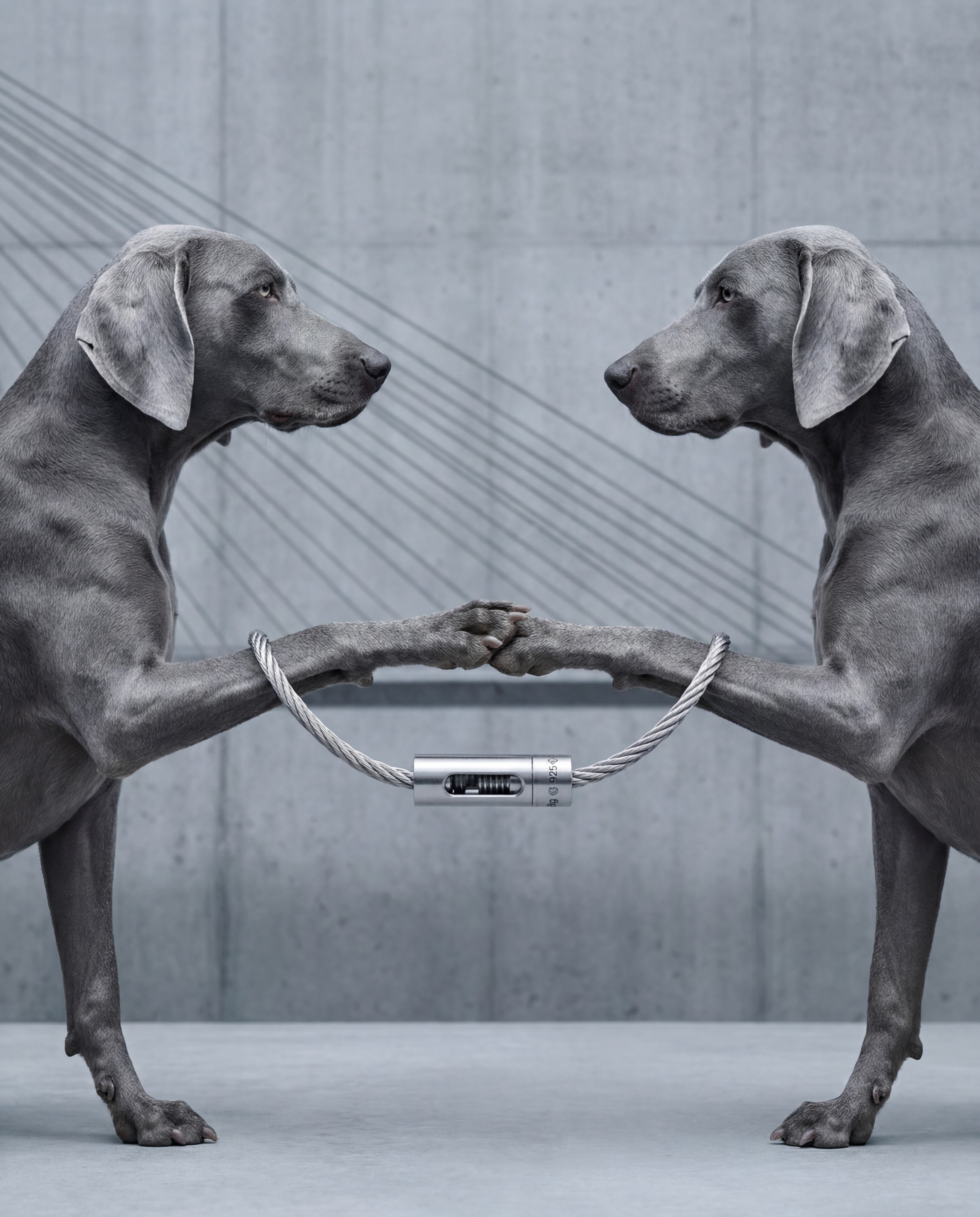 Metallic specular enhancement on silver surface, Calculated light interaction, Studio lighting simulation, Product Visualization Future, Engineered by Aventi